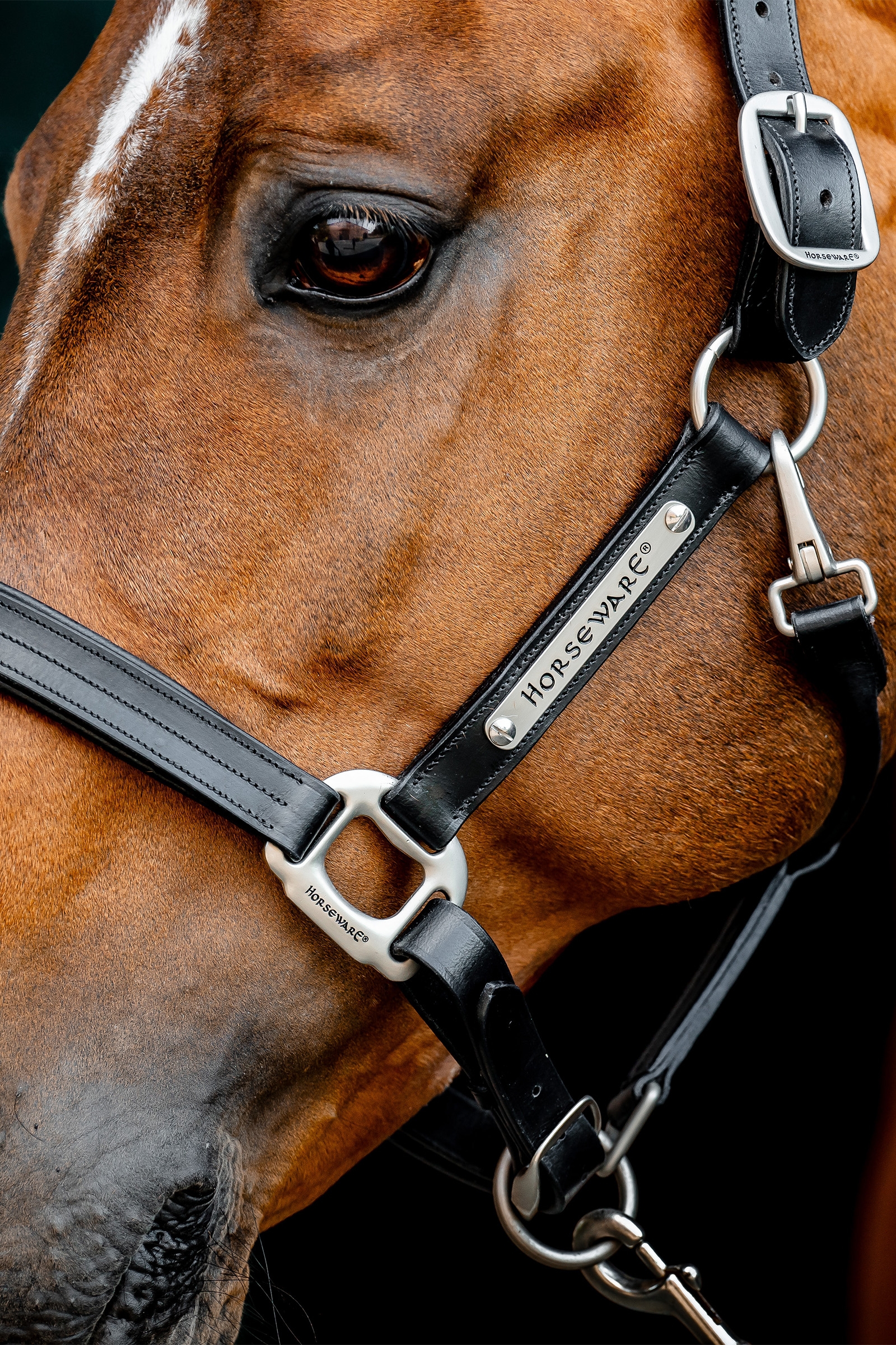 Horseware Signature Leather Headcollar