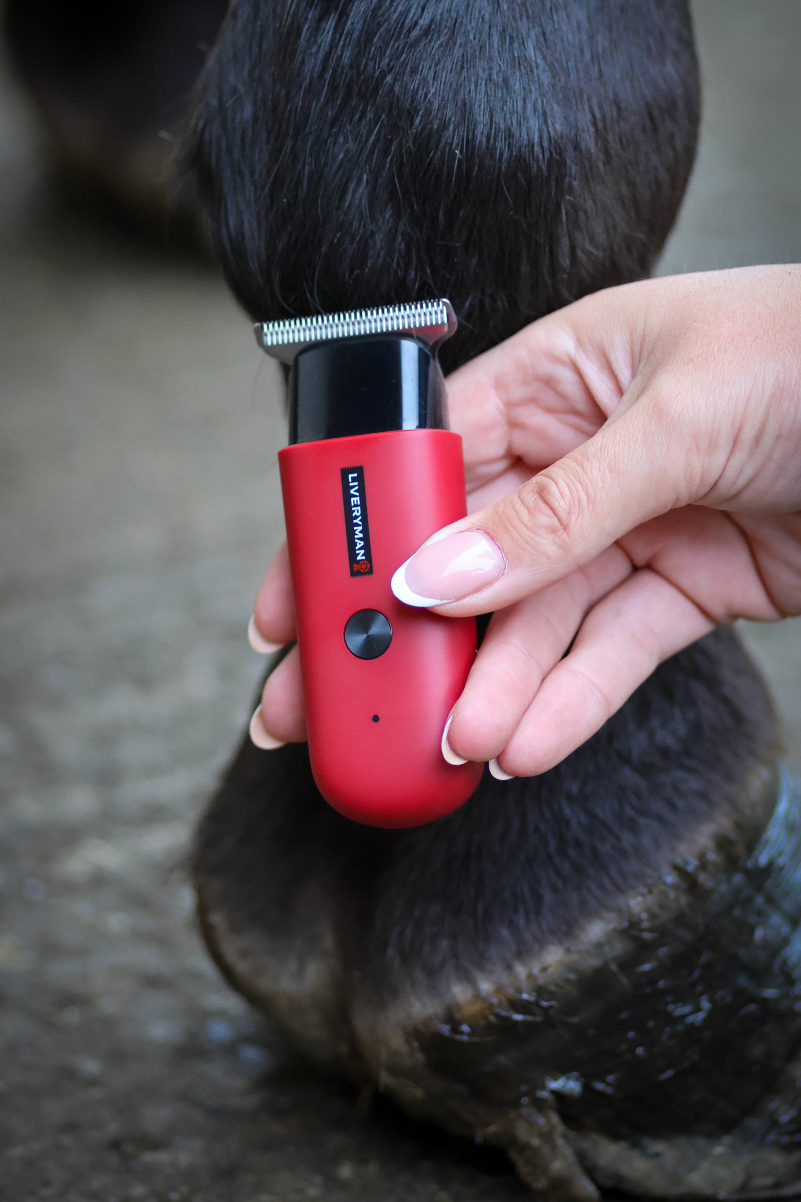 Liveryman Robin Equine Trimmer