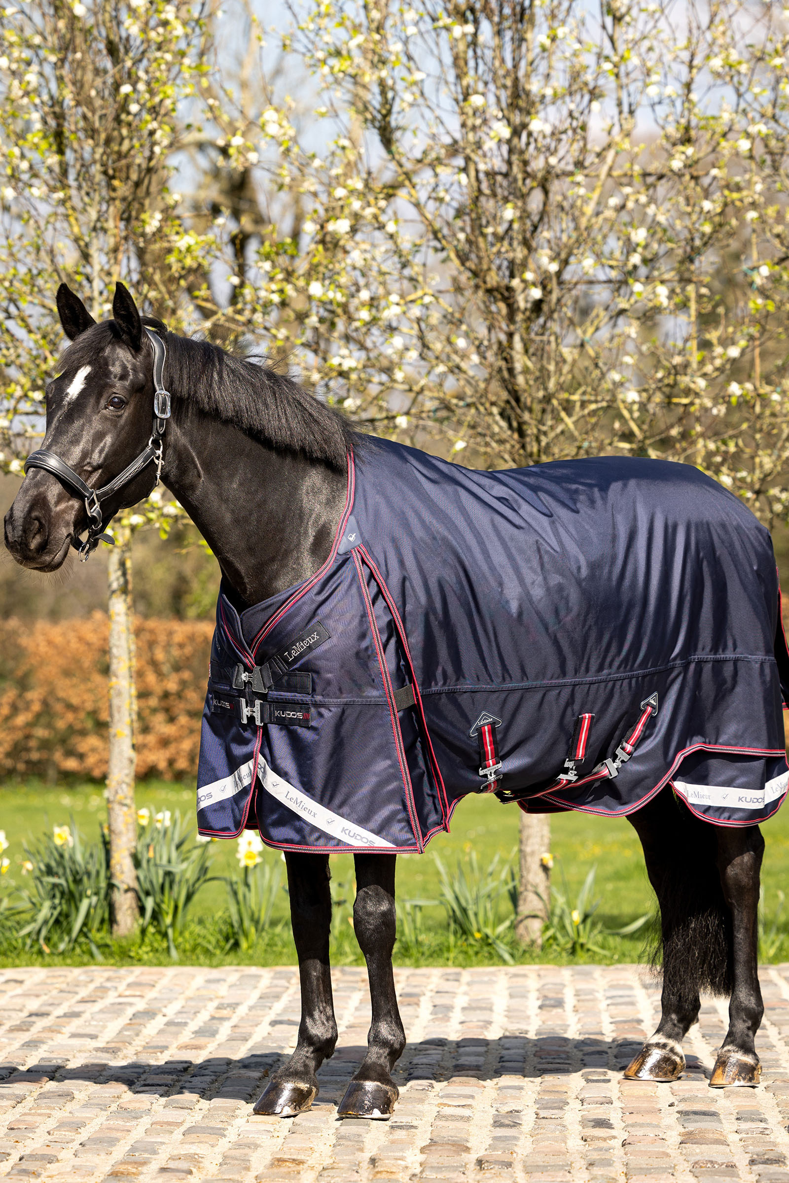 LeMieux Kudos Thermo Layer Turnout Rug 100g