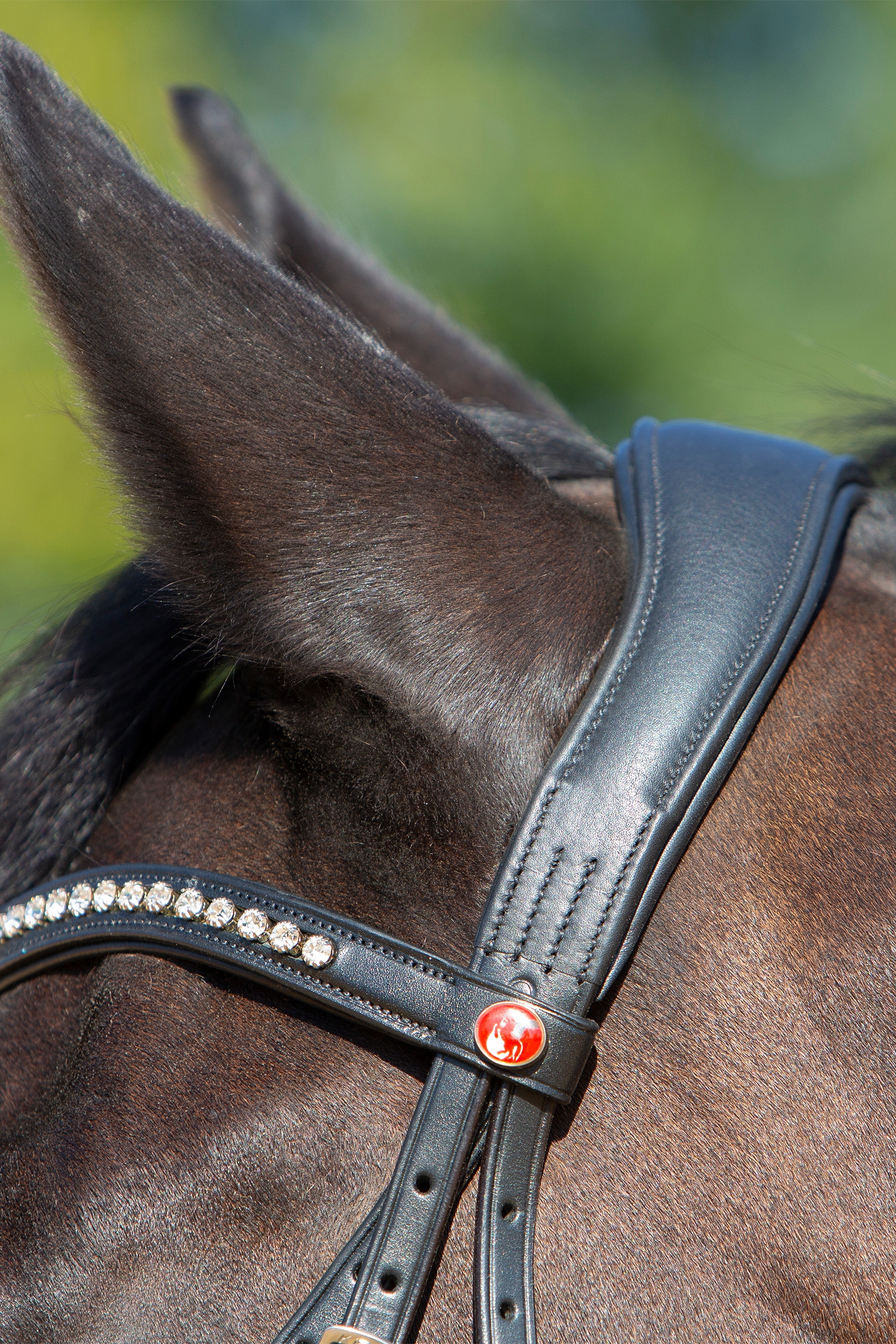 Kieffer Ultrasoft&reg; Sue Bridle