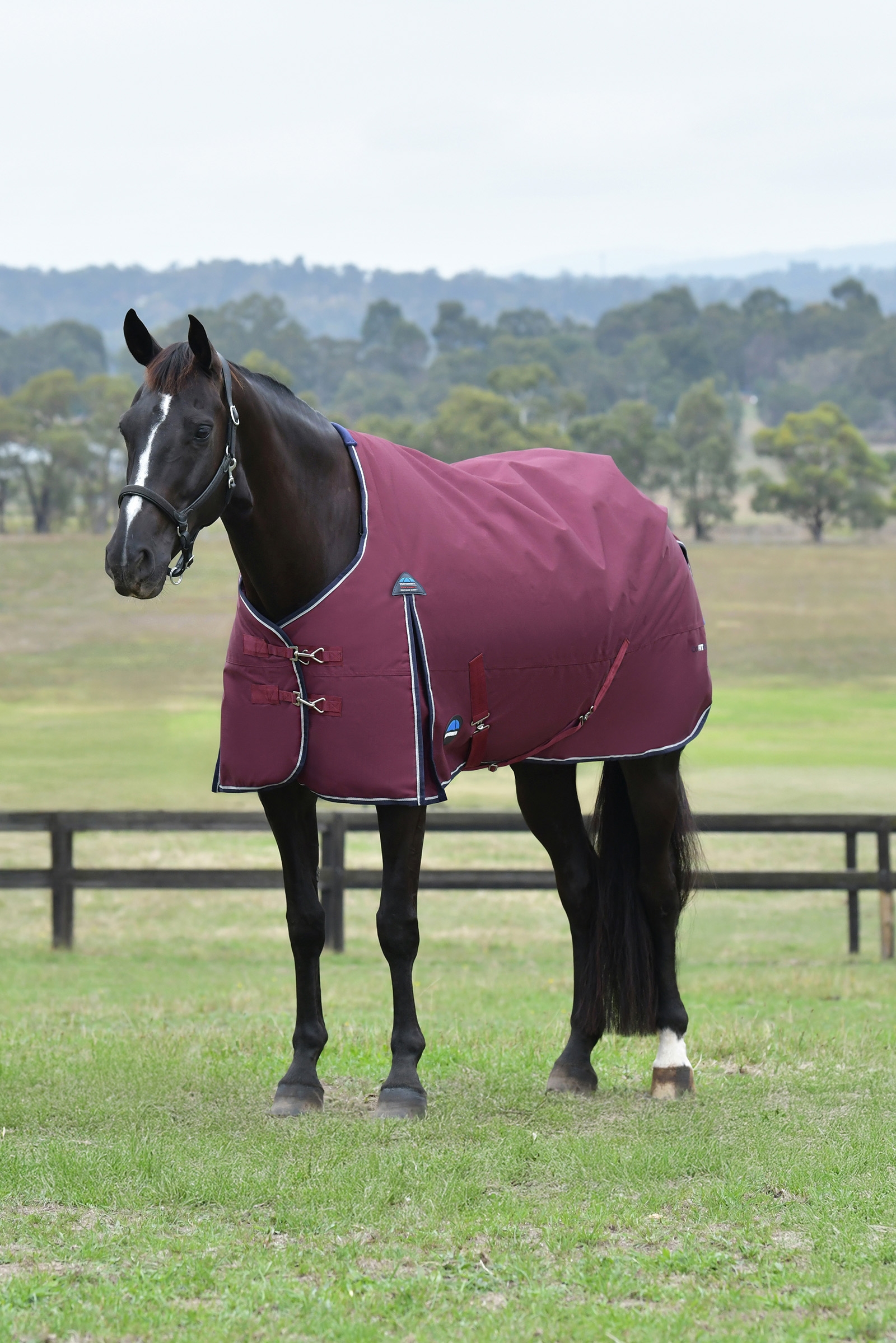 Weatherbeeta ComFiTec Essential Turnout Standard Neck 50G