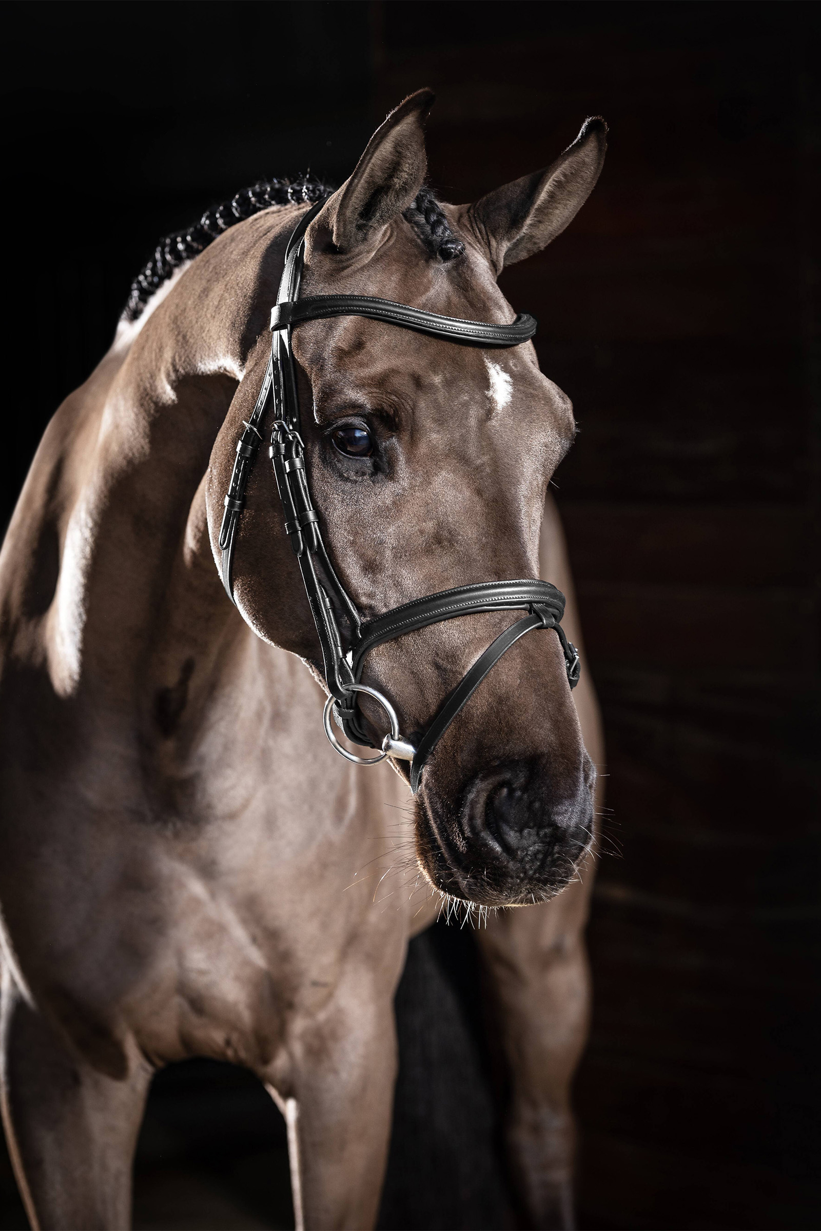 LeMieux Arika Flash Bridle