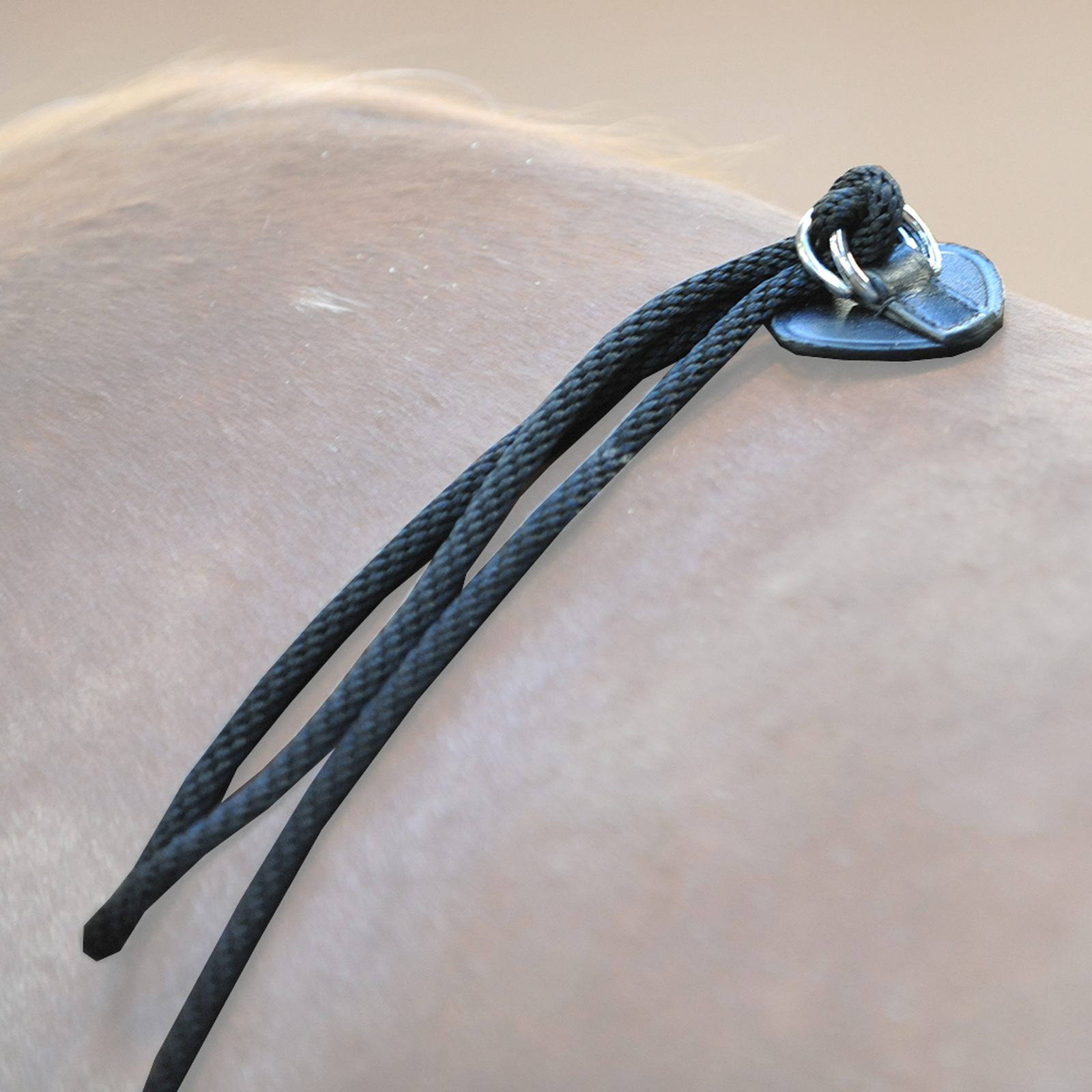 Kavalkade HO lungeing aid