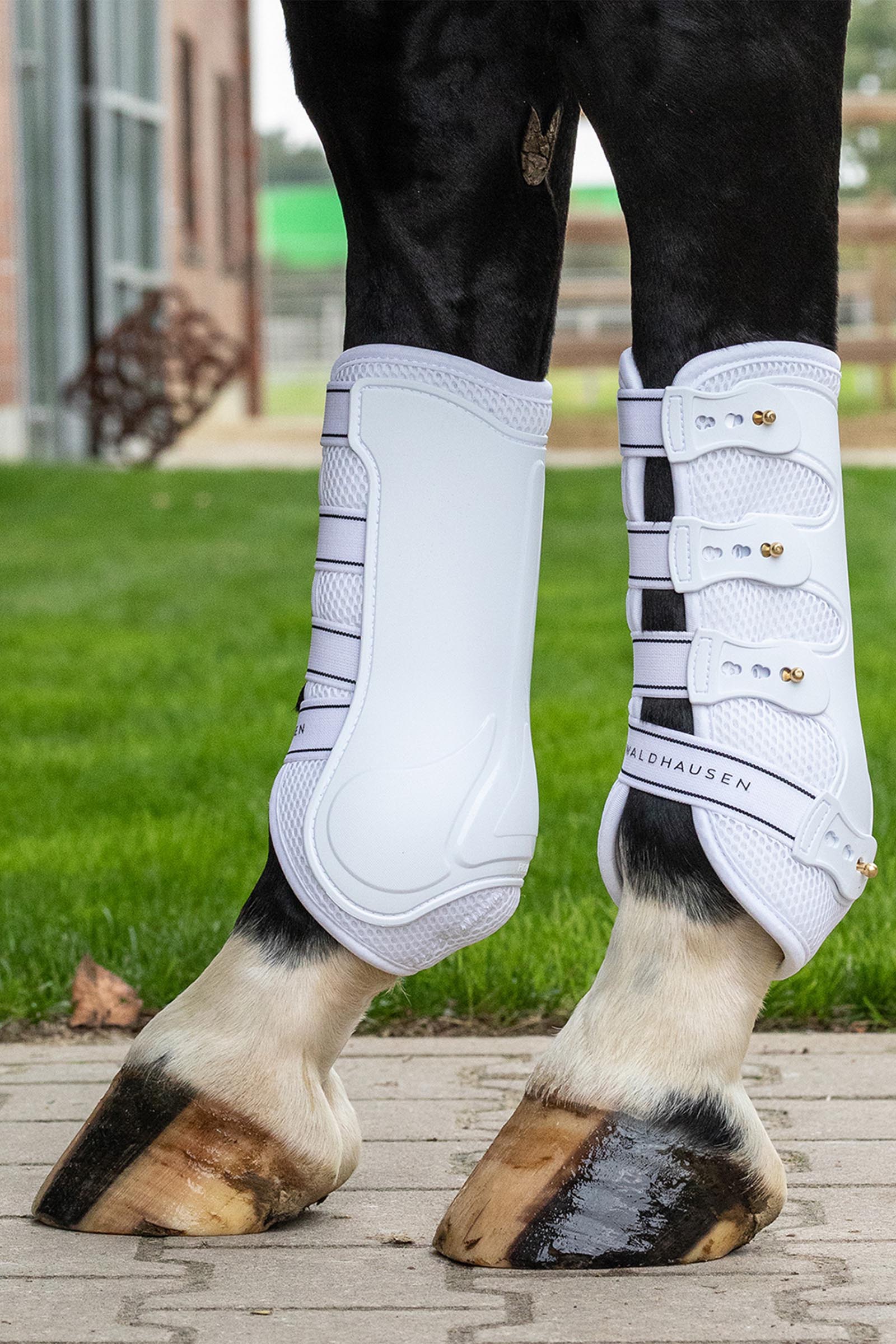 Waldhausen Breath Tendon Boots (Pair)