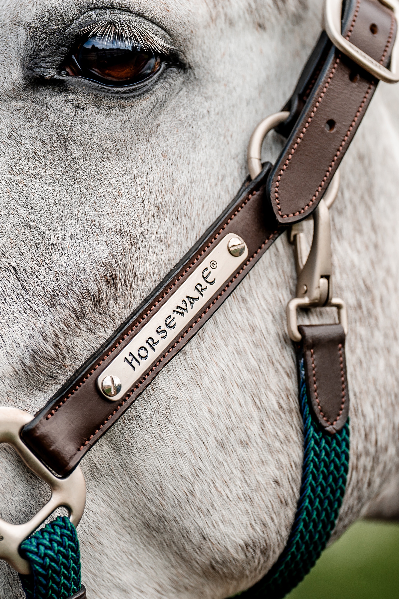 Horseware Signature Braided Headcollar