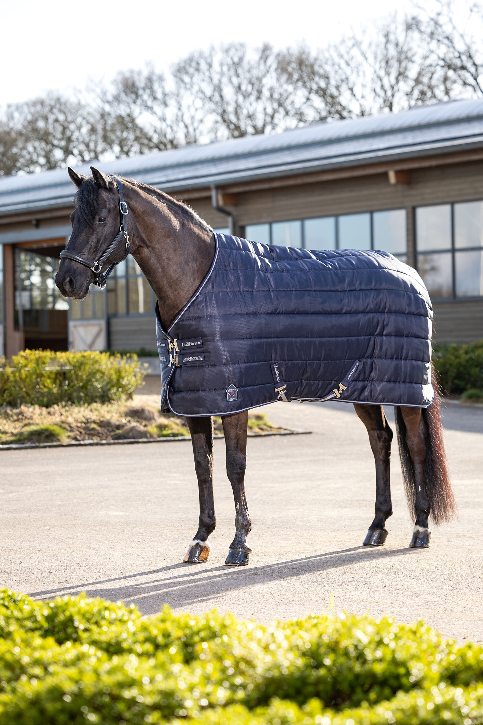 LeMieux Arika Stable-Tek Stable Rug, 100 g