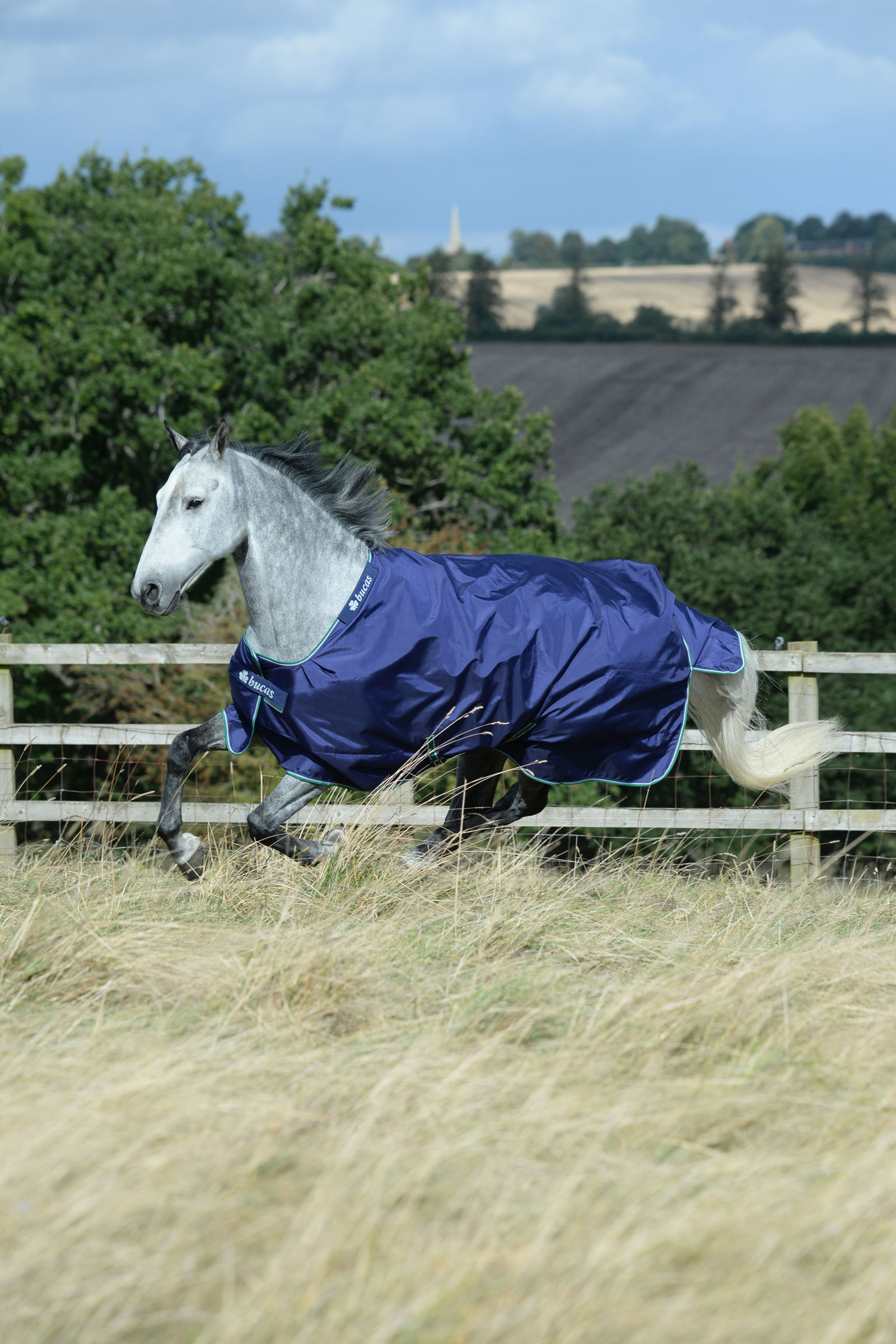 Bucas Smartex Medium Turnout Rug, 150g