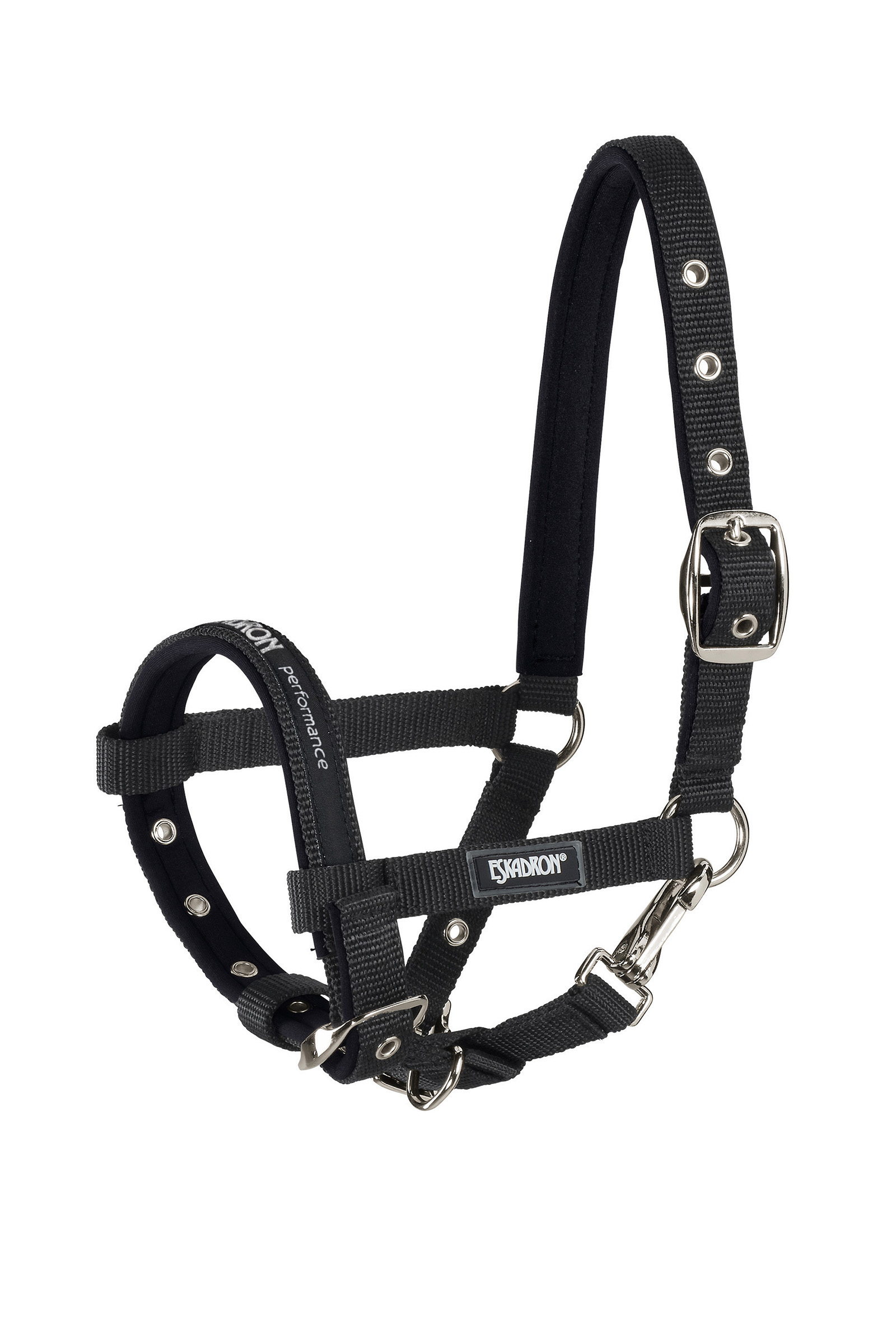 Black Eskadron Foal Halter