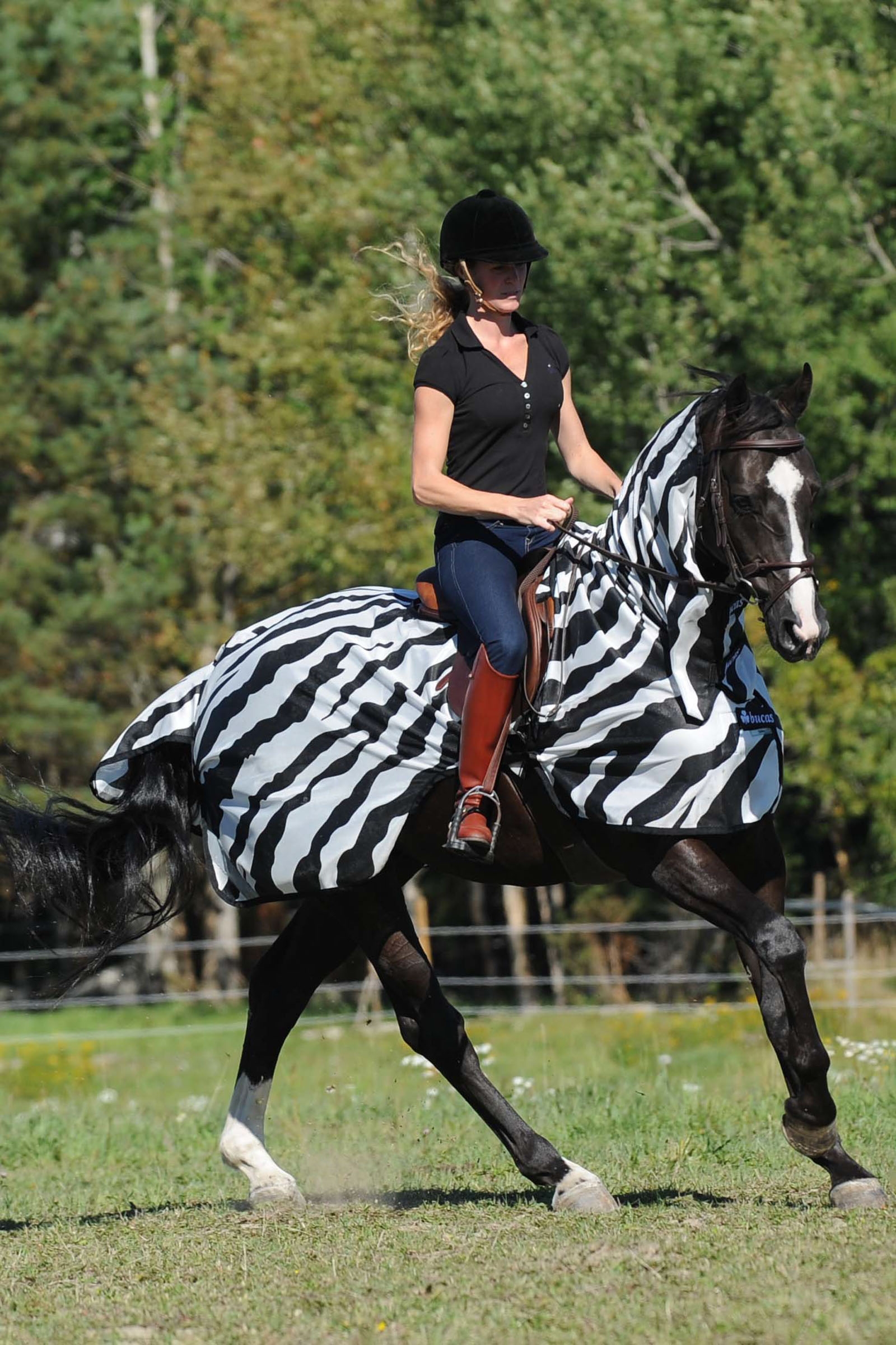 Bucas Buzz-Off Zebra Fly- and Riding Rug