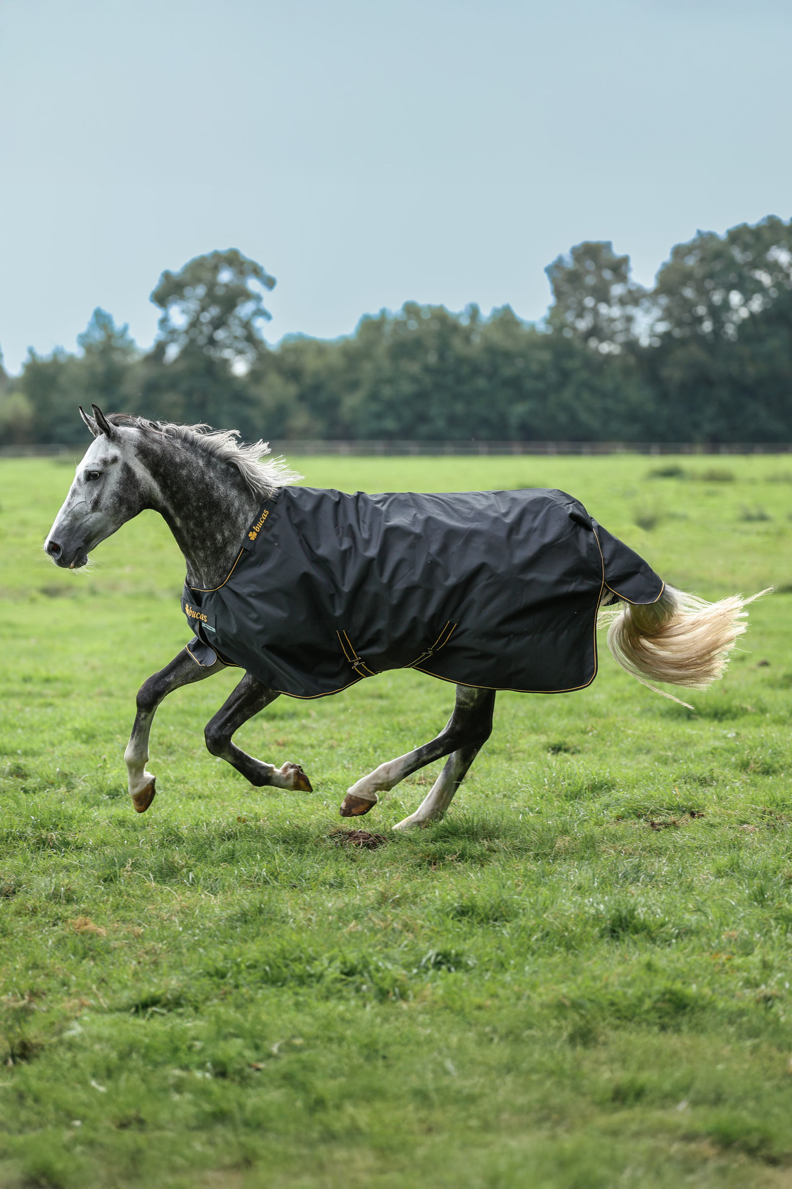 Bucas Irish Turnout Rug, 100 g