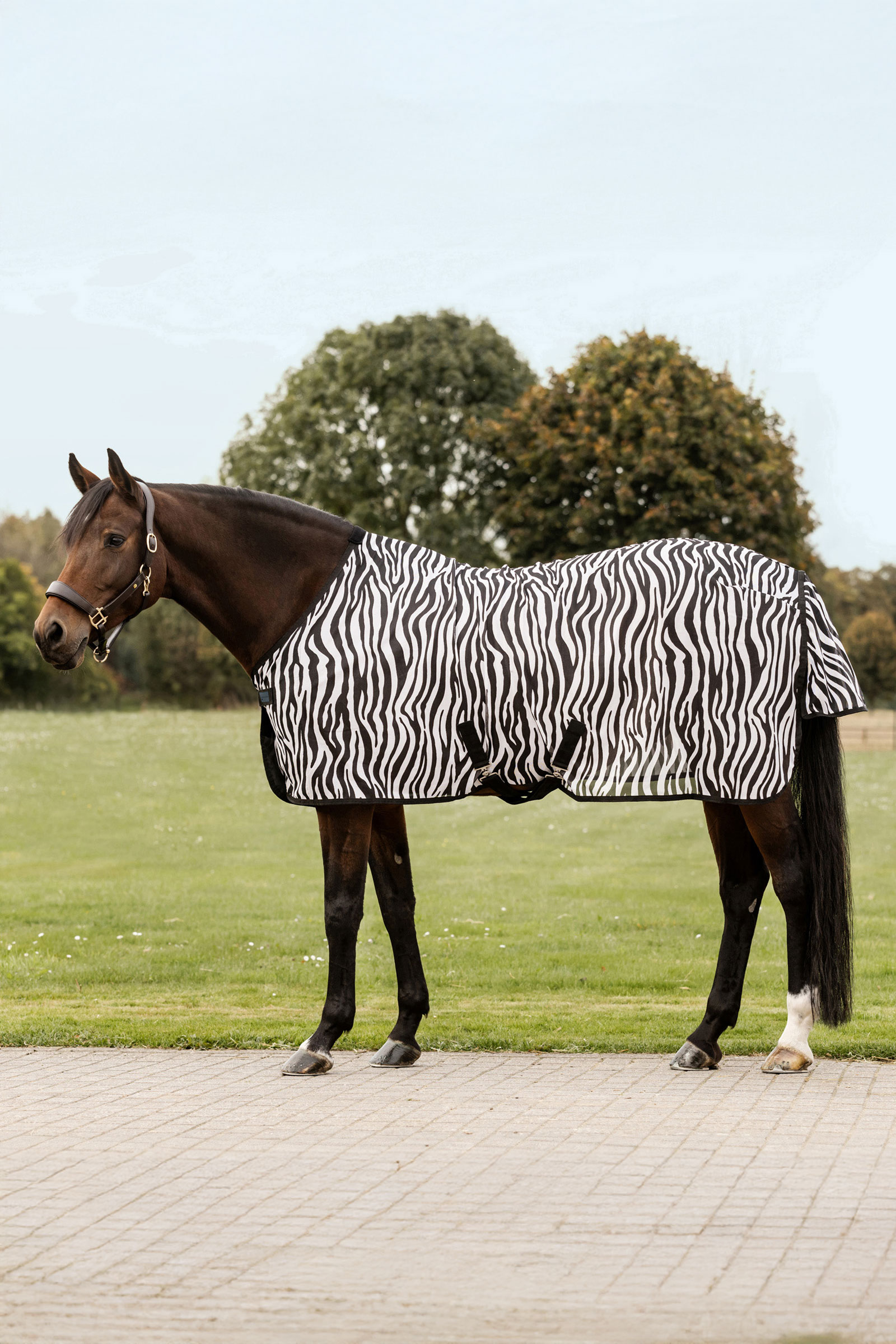 Waldhausen Zebra Fly Rug With Cross Surcingles