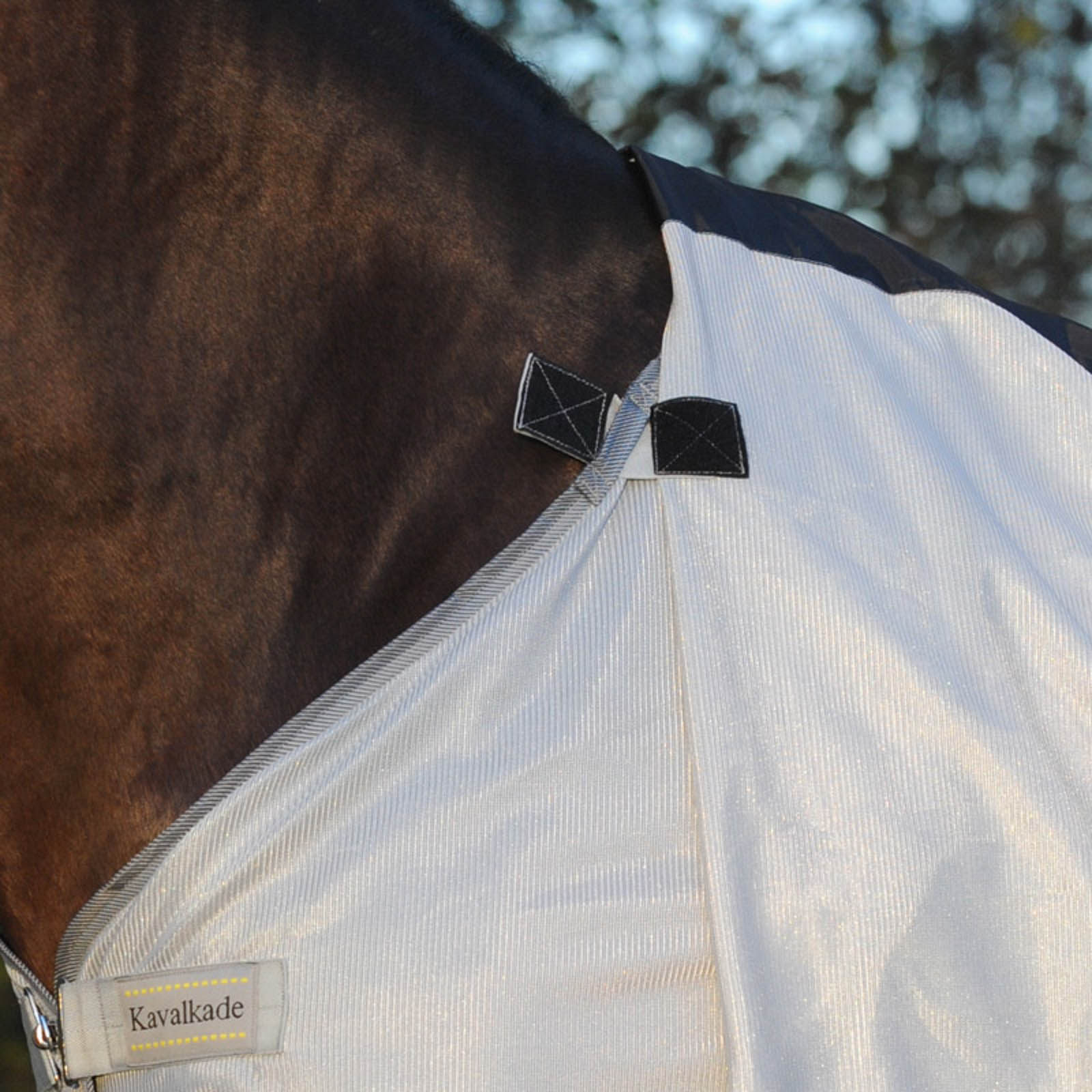 Kavalkade Fly Rug with Removable Neck