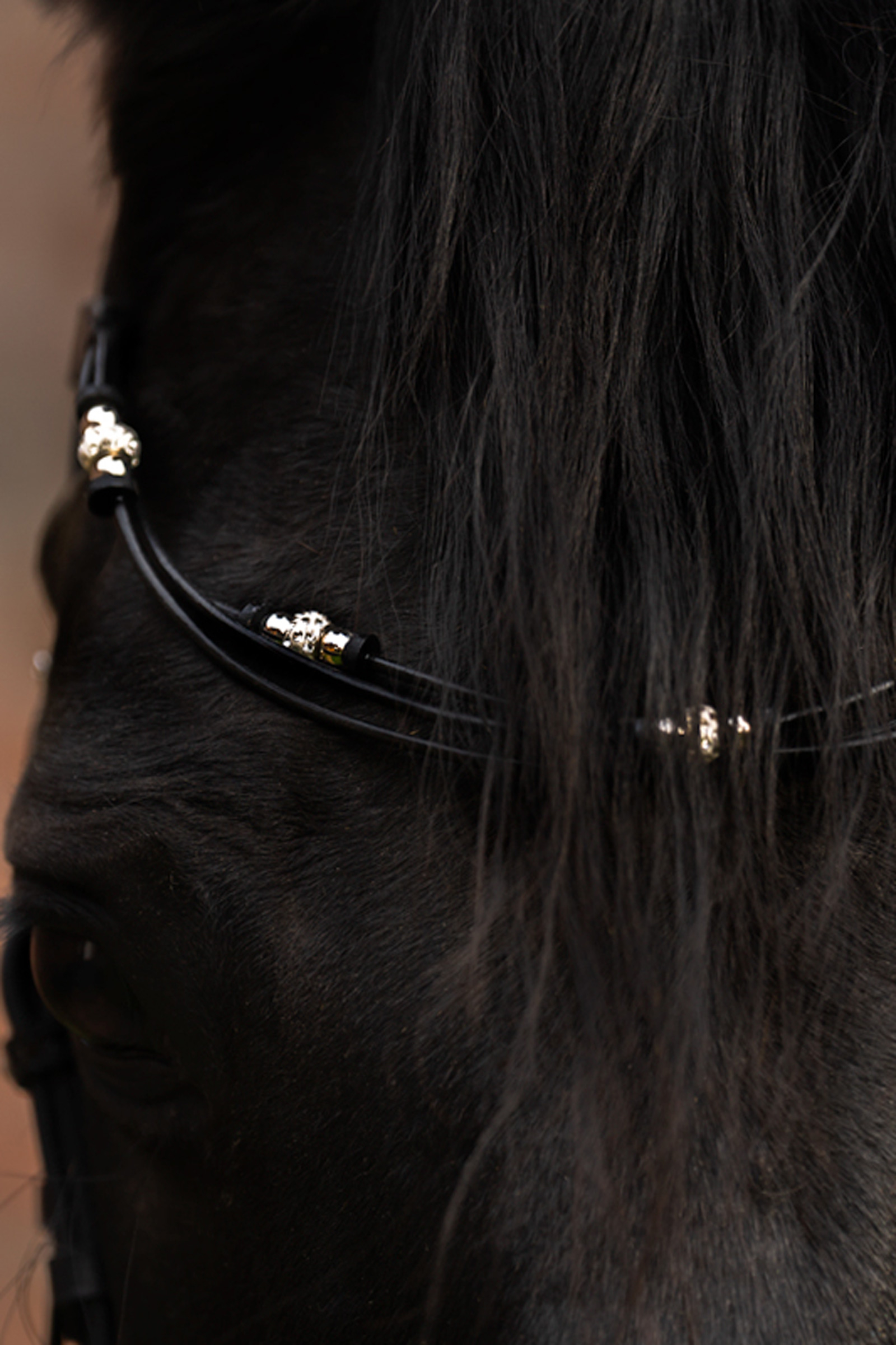 Kavalkade Grace Browband