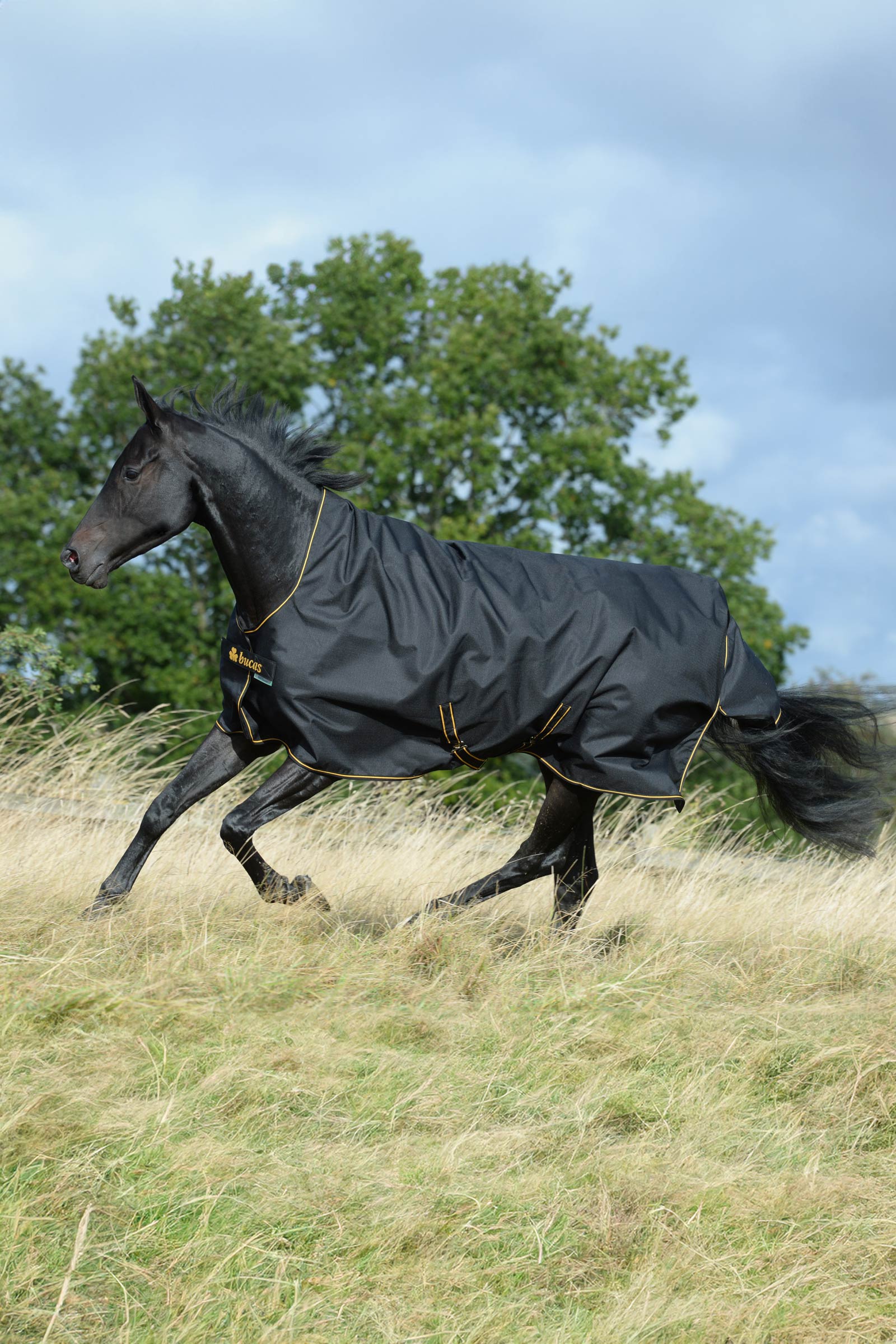 Bucas Irish Turnout Rug with High Neck, 50g