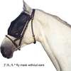 F.R.A. Freedom Riding Articles Cavallo Fly Mask