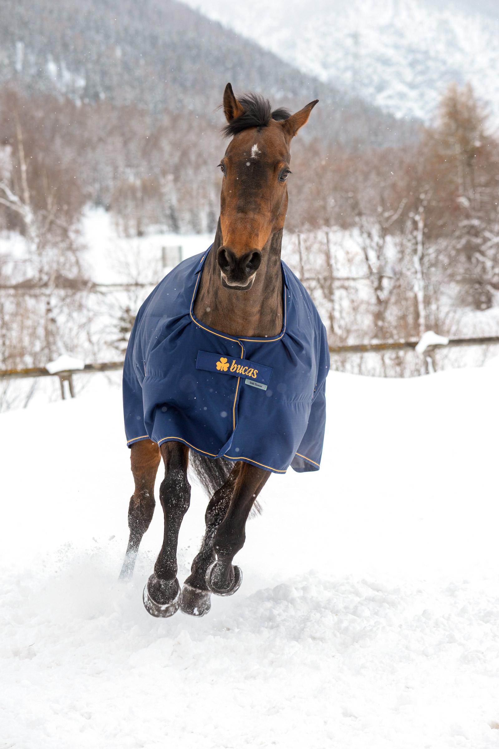 Bucas Irish Turnout Rug, 300g