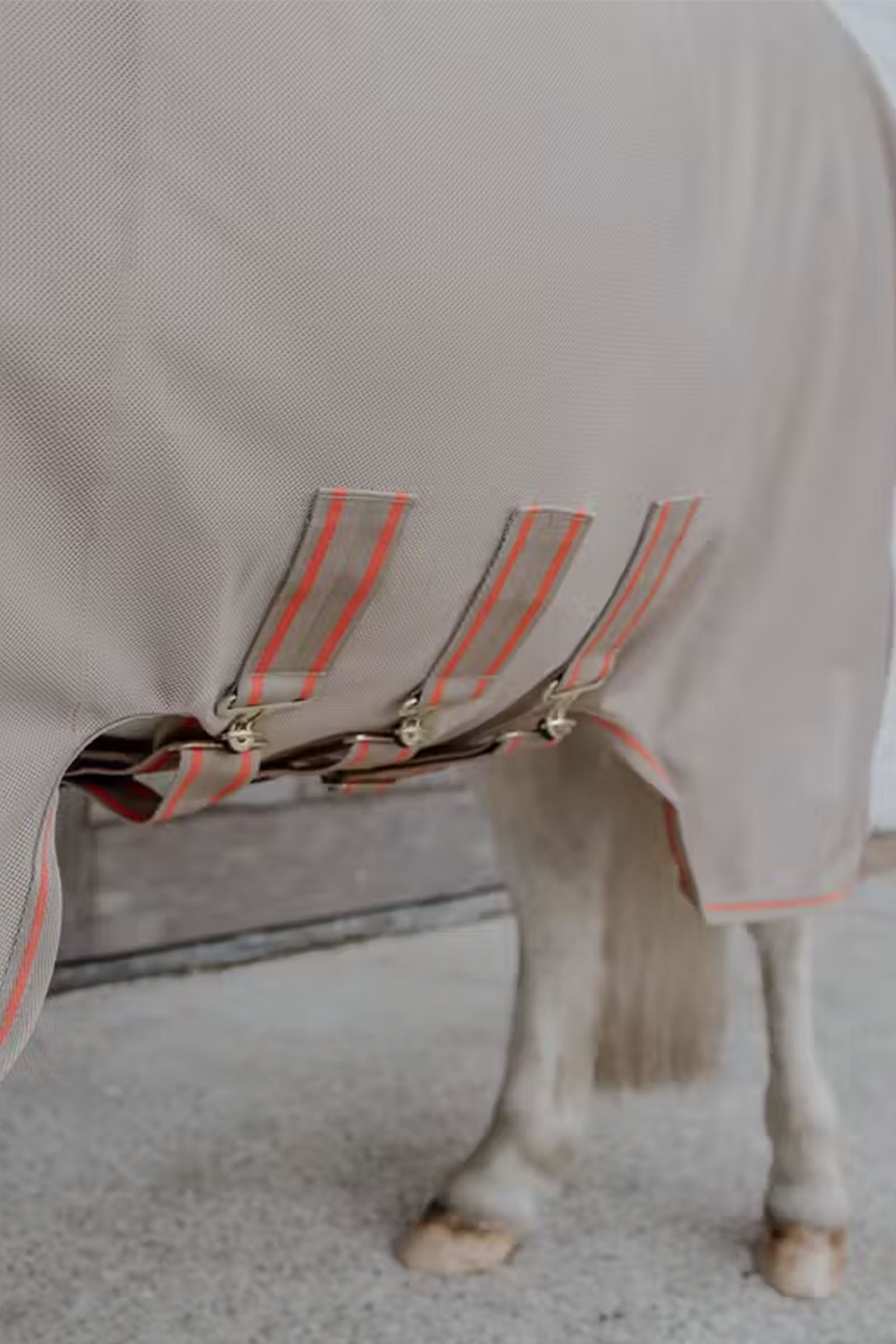 Kentucky Horsewear Mesh fly rug comfort