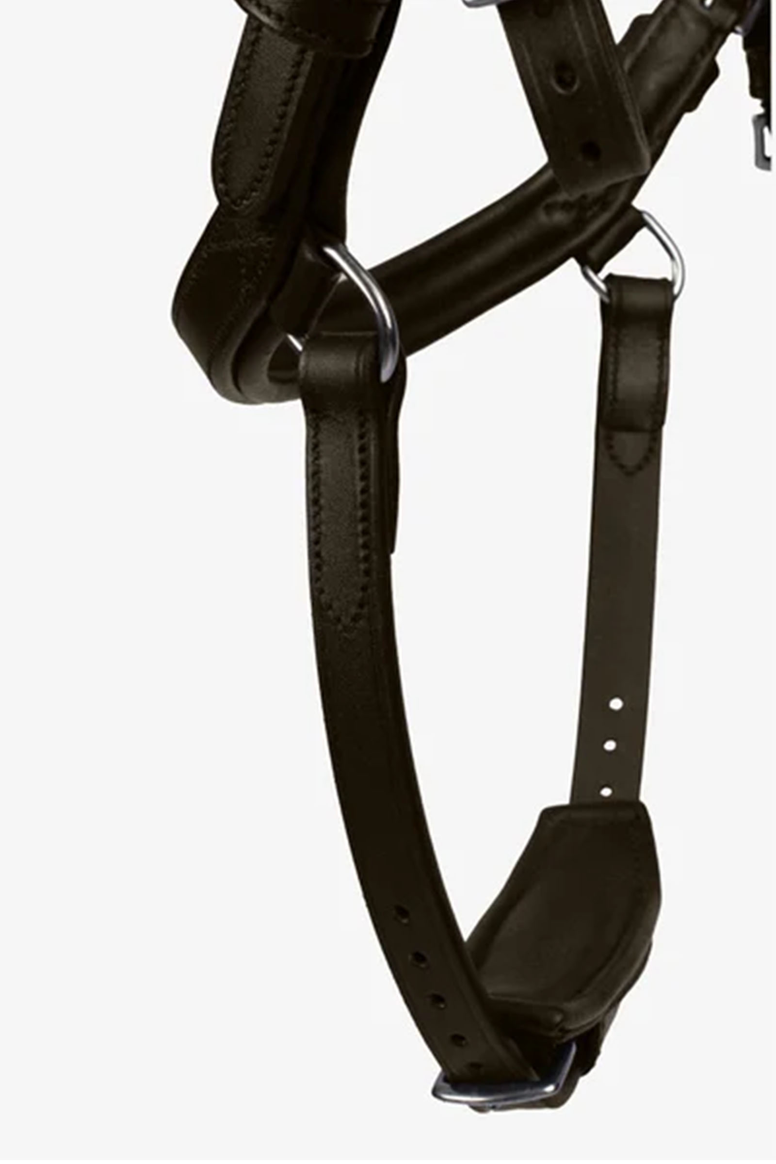 PS of Sweden Bridle King Edward