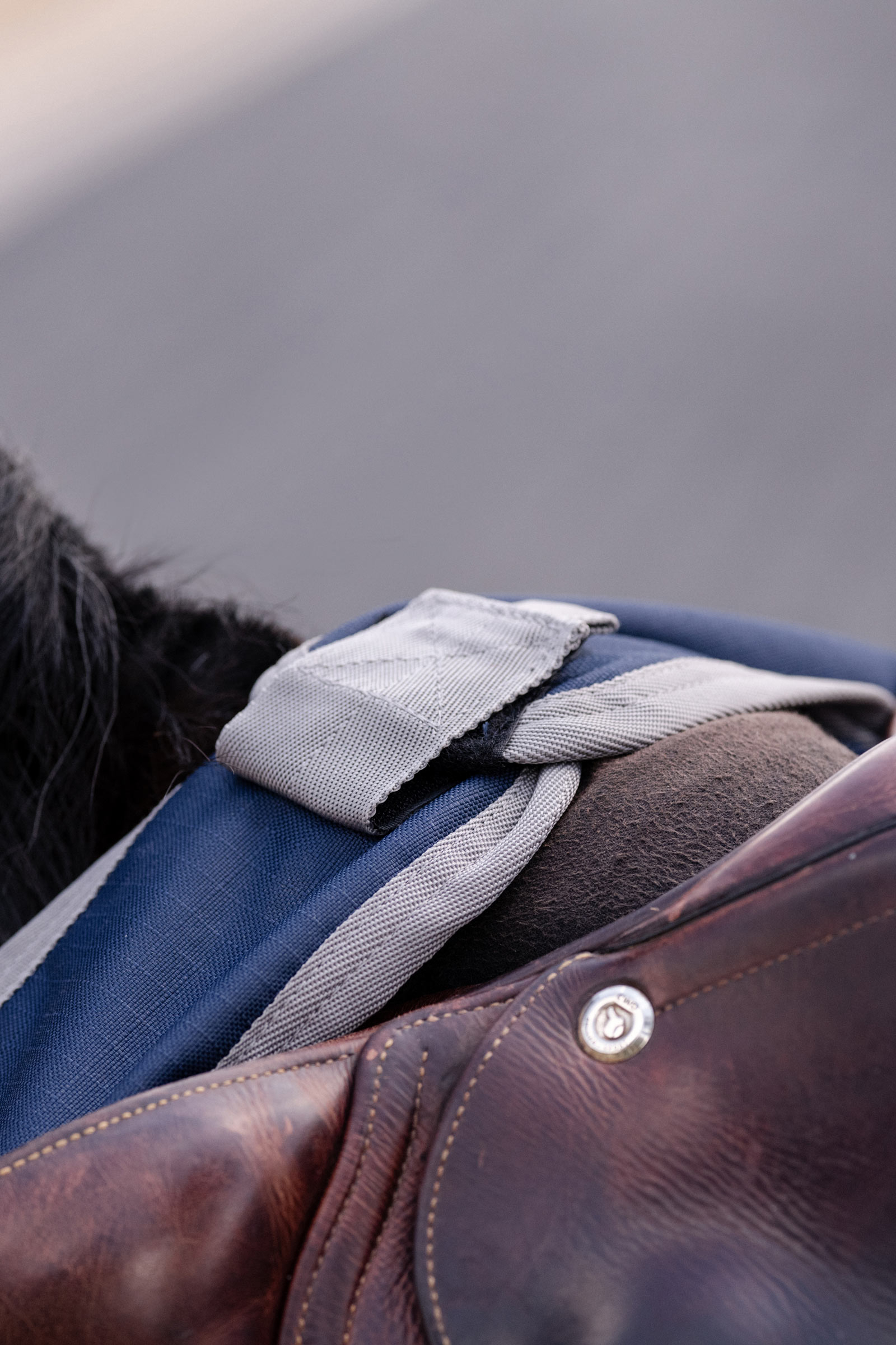 Horseware Amigo Ripstop Exercise Sheet