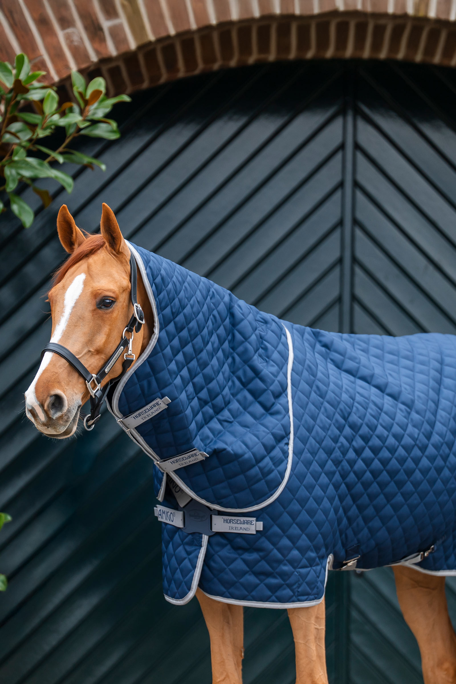 Horseware Amigo Quilted Stable Plus Rug, 200 g