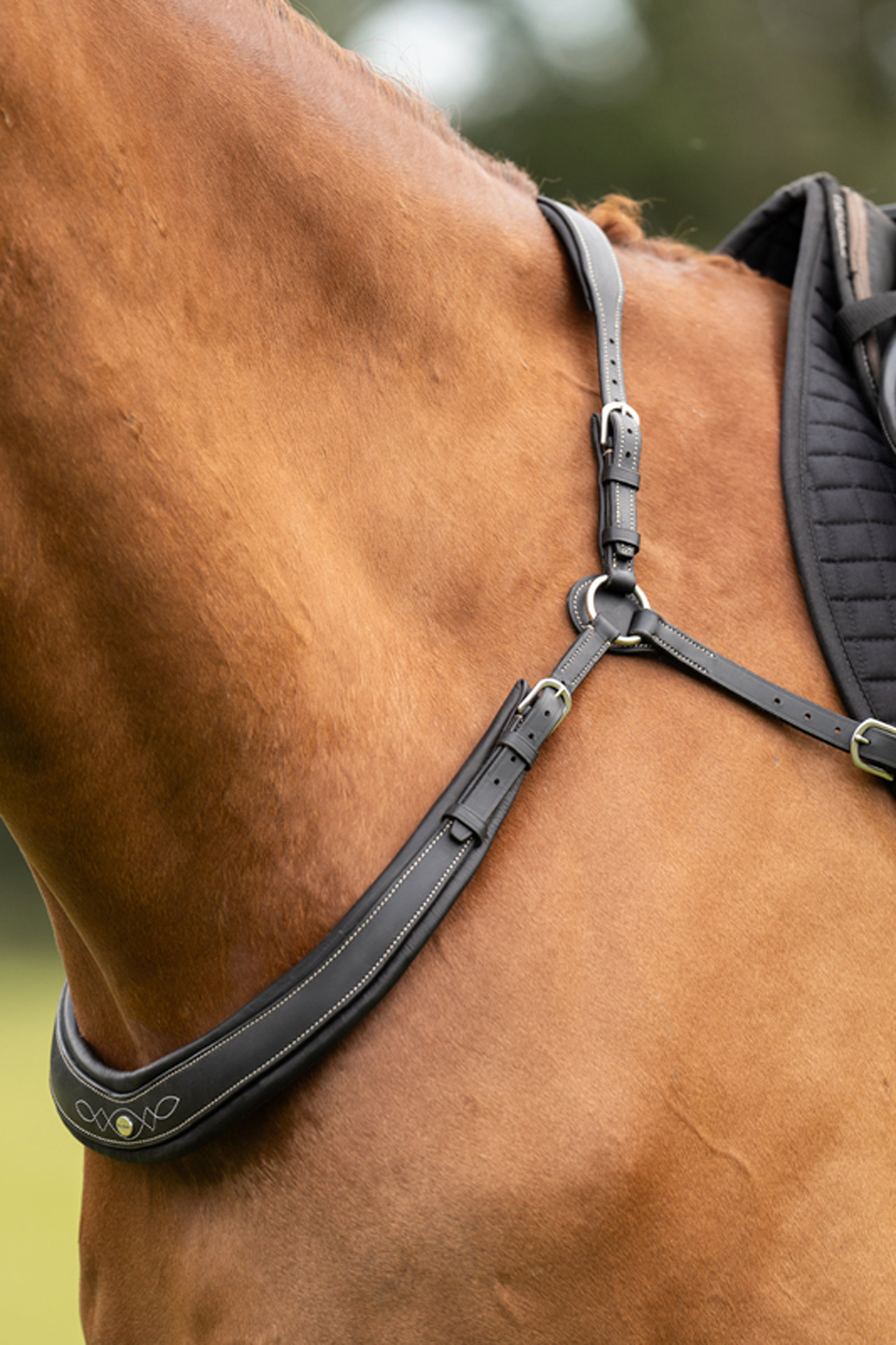 Kavalkade Jerome 2-Point Breastplate