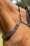 Kavalkade Jerome 2-Point Breastplate