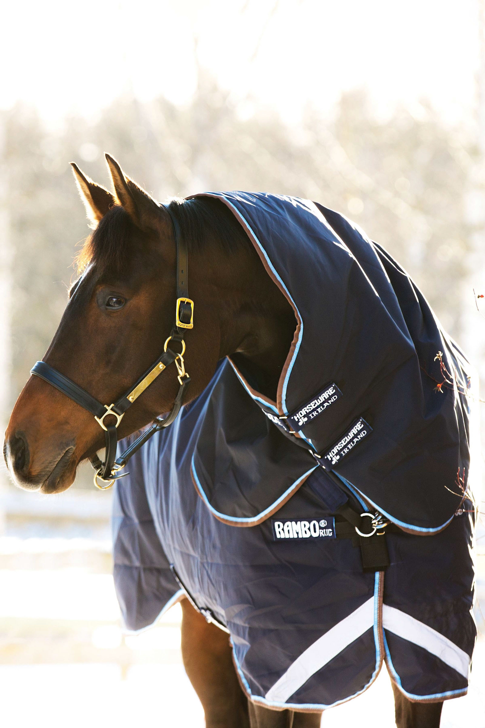 Horseware Rambo Duo Turnout incl. Detachable Hood, 100g
