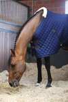 Kentucky Horsewear Stable Rug, 400g