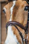 Dy'on New English Plaited Bridle With Flash Noseband 