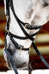 Horseware Micklem 2 Multi Bridle