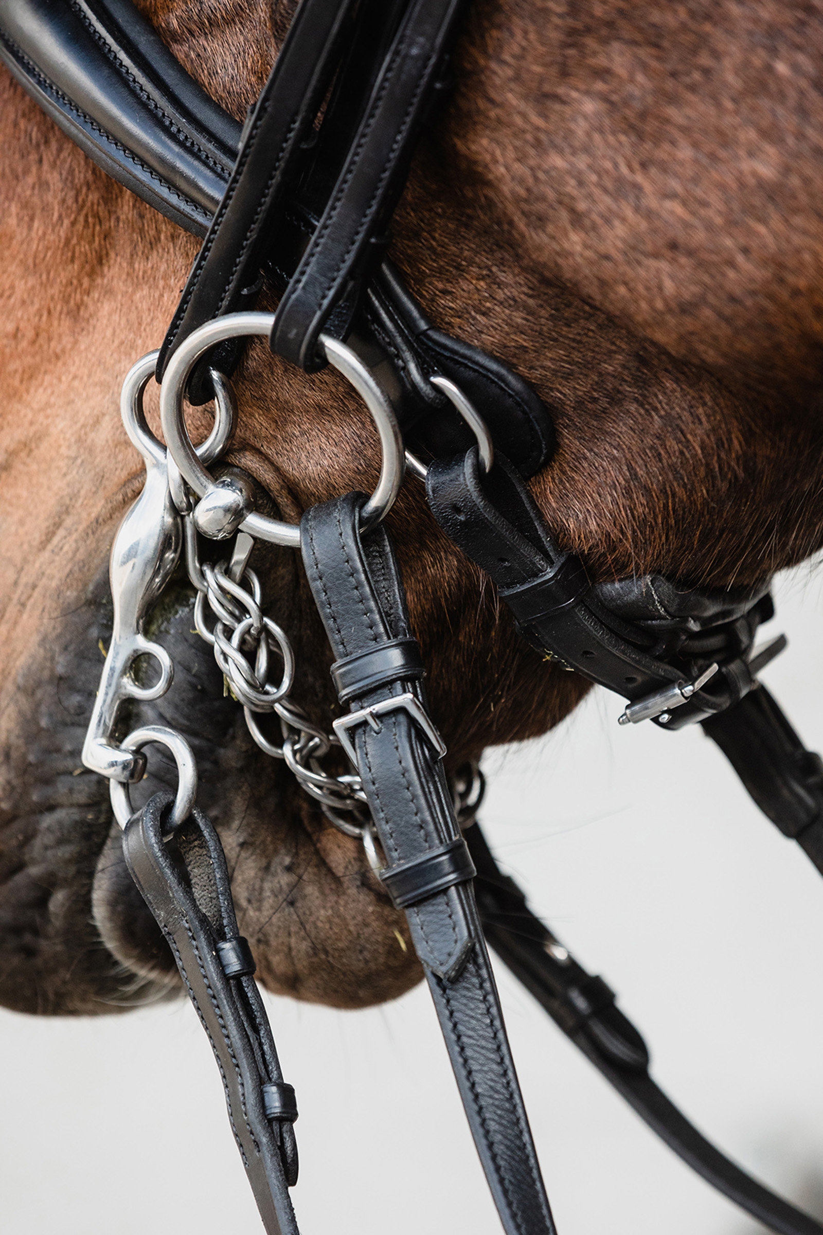 Schockemöhle Sports Milton Anatomic  Double Bridle