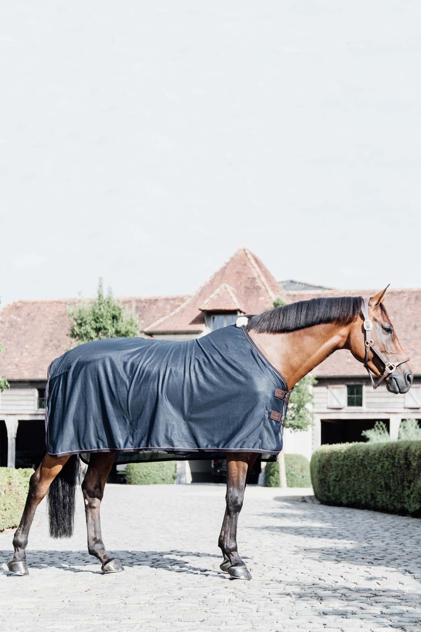 Kentucky Horsewear Mesh Fly Sheet