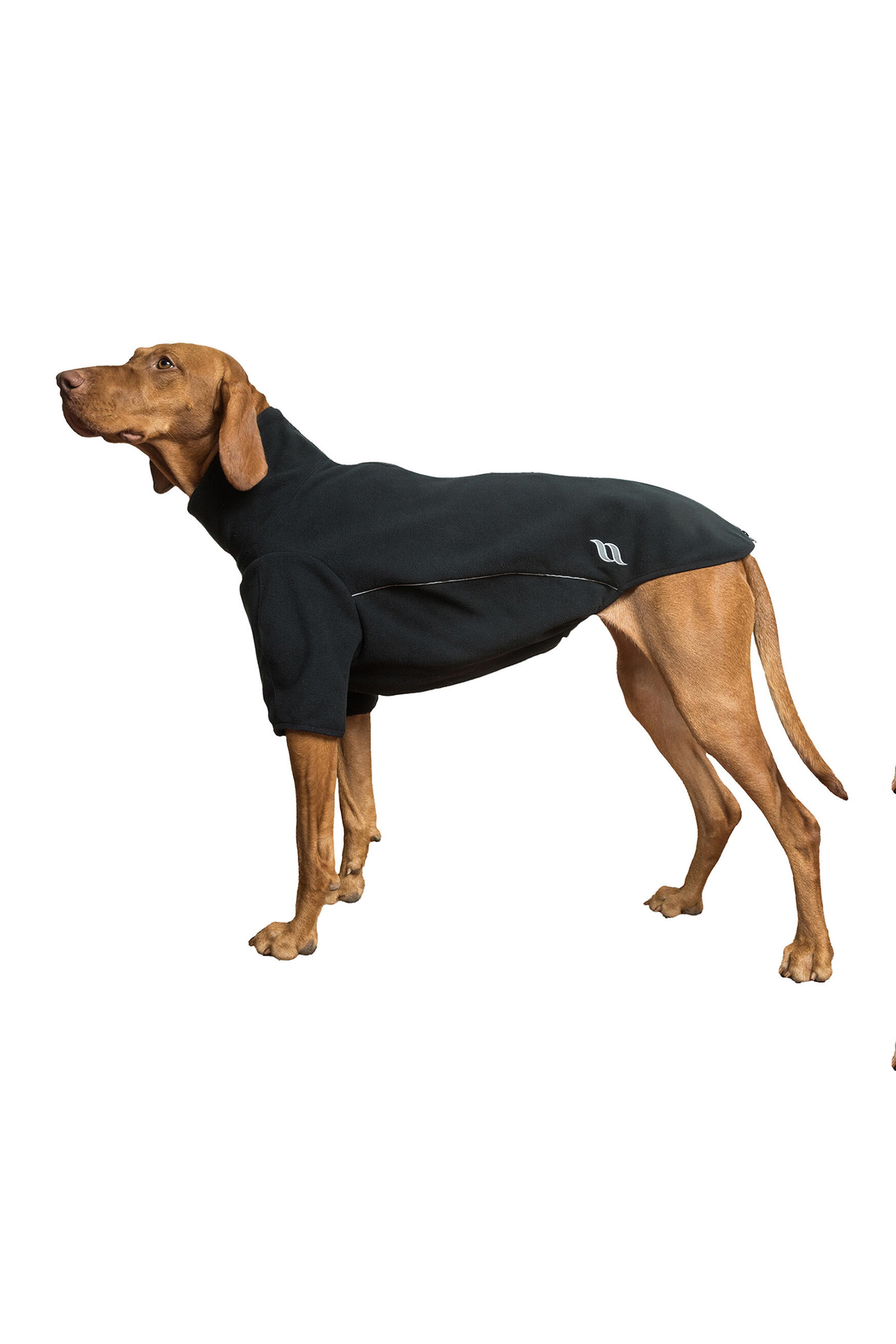 Back on Track Cassie All-Weather Jumper, 55-60cm