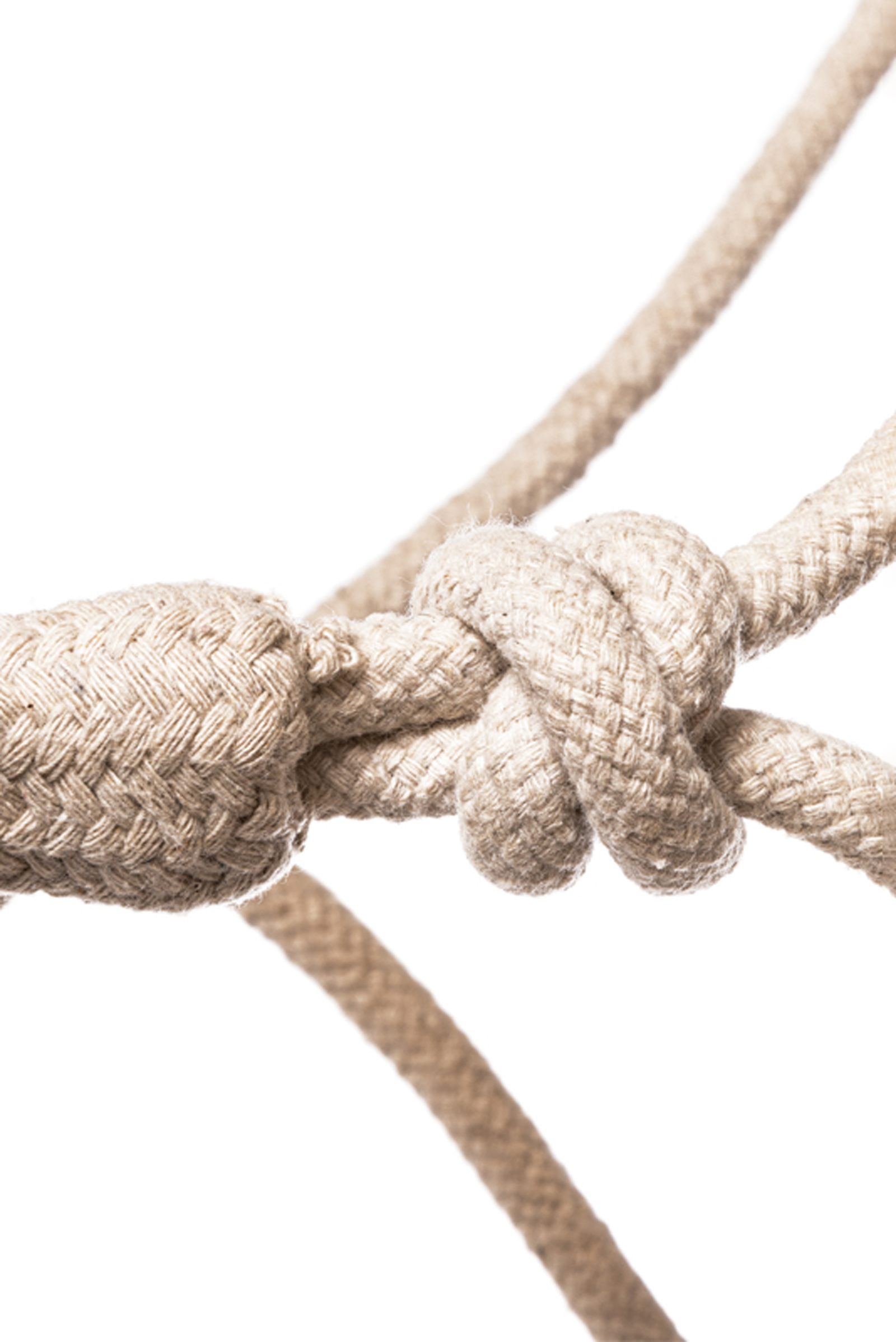 Kavalkade Knude Rope Halter