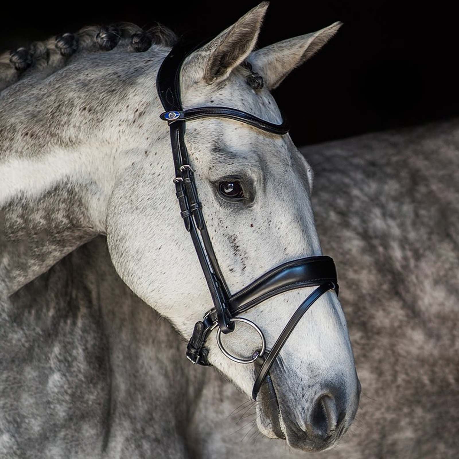 PS of Sweden Flying Change Bridle