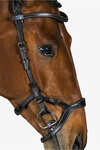 PS of Sweden bridle Nirak