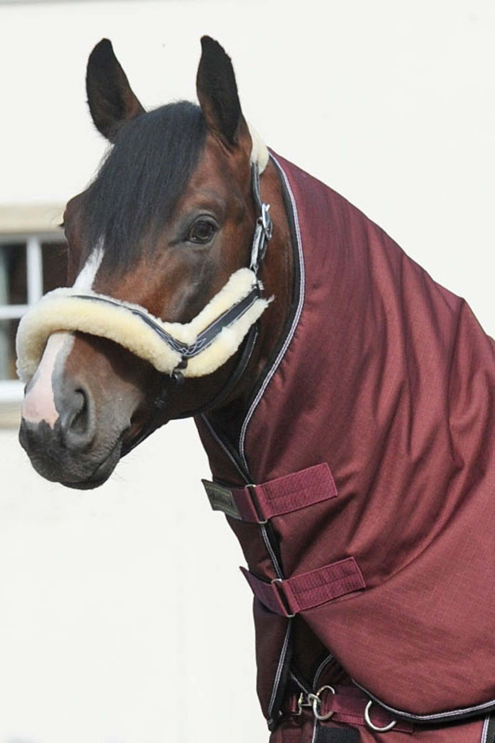 Dark Red Kavalkade Neck for Alaska IV, 100 g