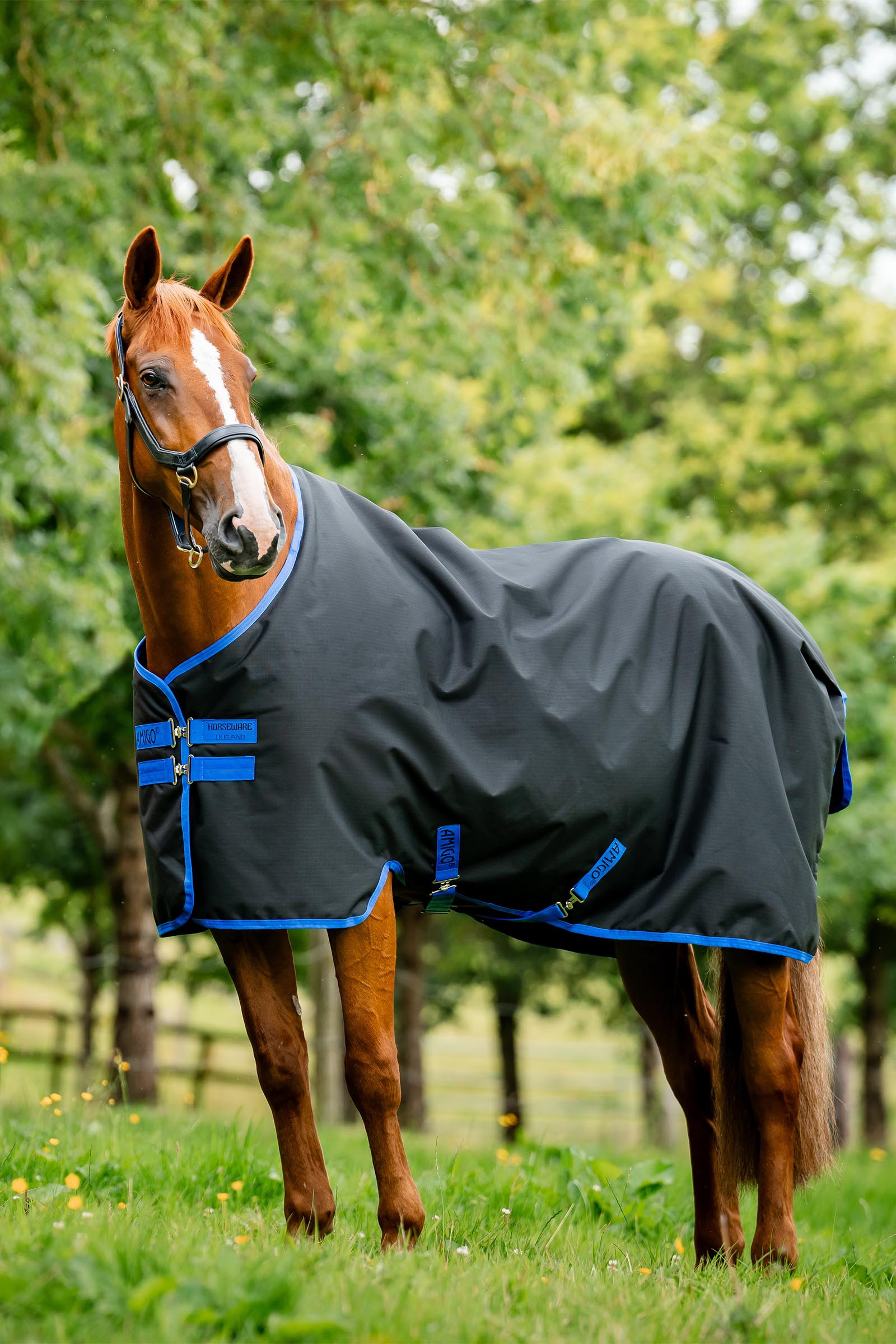Black/Classic Blue Horseware Amigo Ripstop 900D Fleece Lined Turnout Rug, 50 g