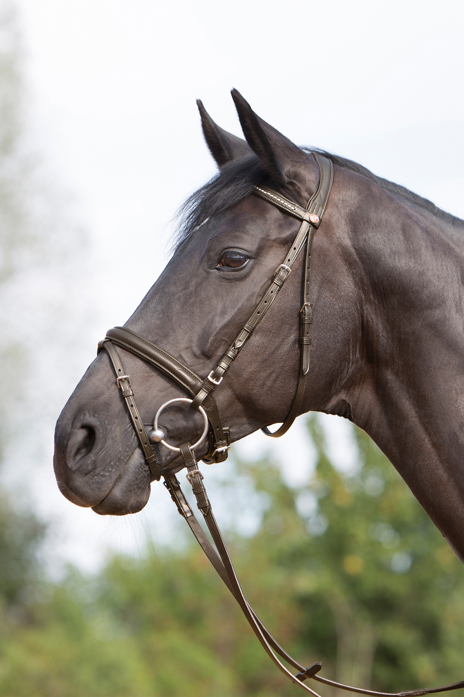 Kieffer Ultrasoft® Bridle
