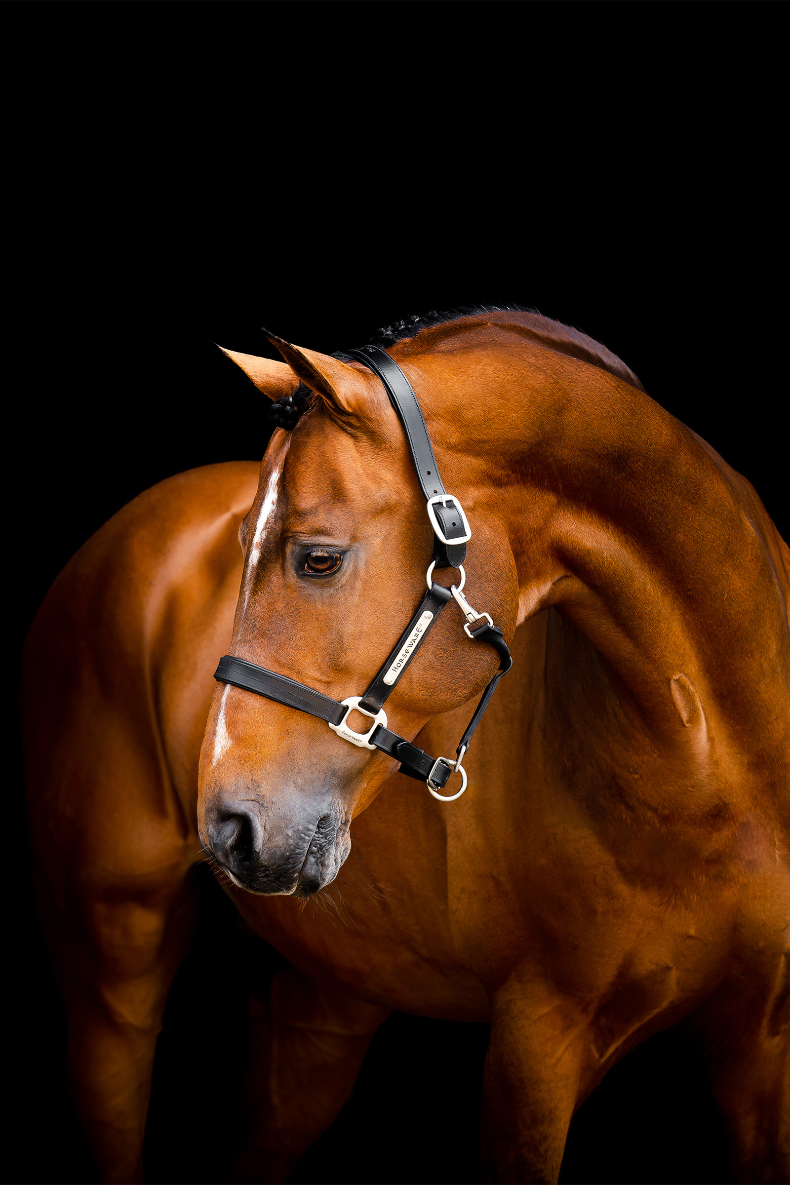 Horseware Signature Leather Headcollar