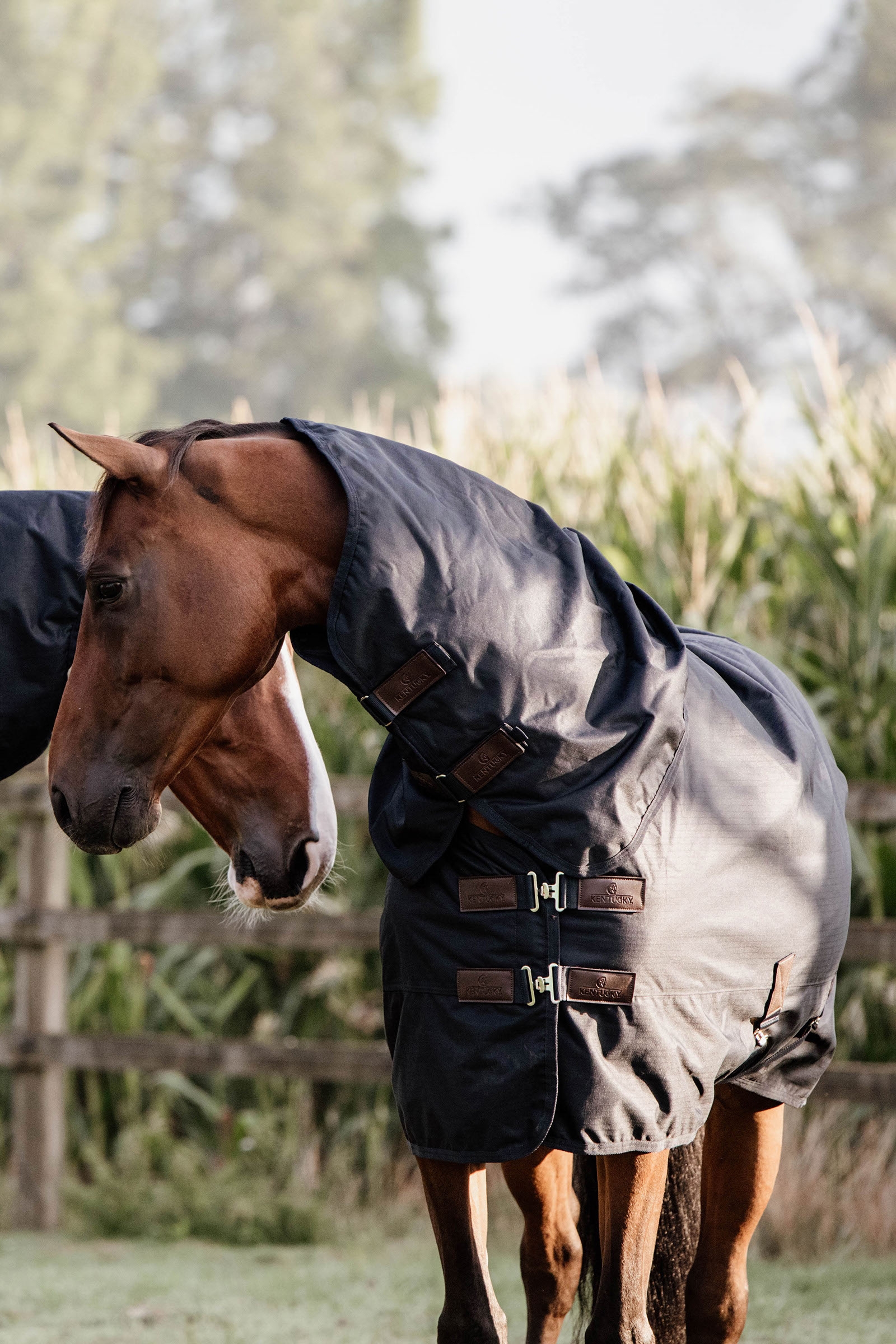 Kentucky Horsewear Turnout Rug All Weather Waterproof Classic, 150g