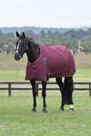 Weatherbeeta ComFiTec Essential Turnout Rug, 0 g