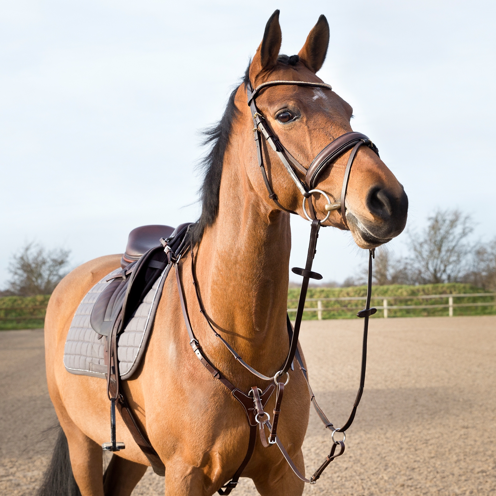 Light Brown Horze Adjustable Hunting Breastplate