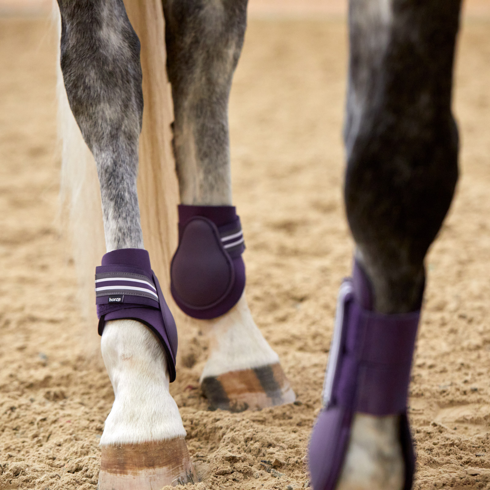 Horze Adepto Fetlock Boots