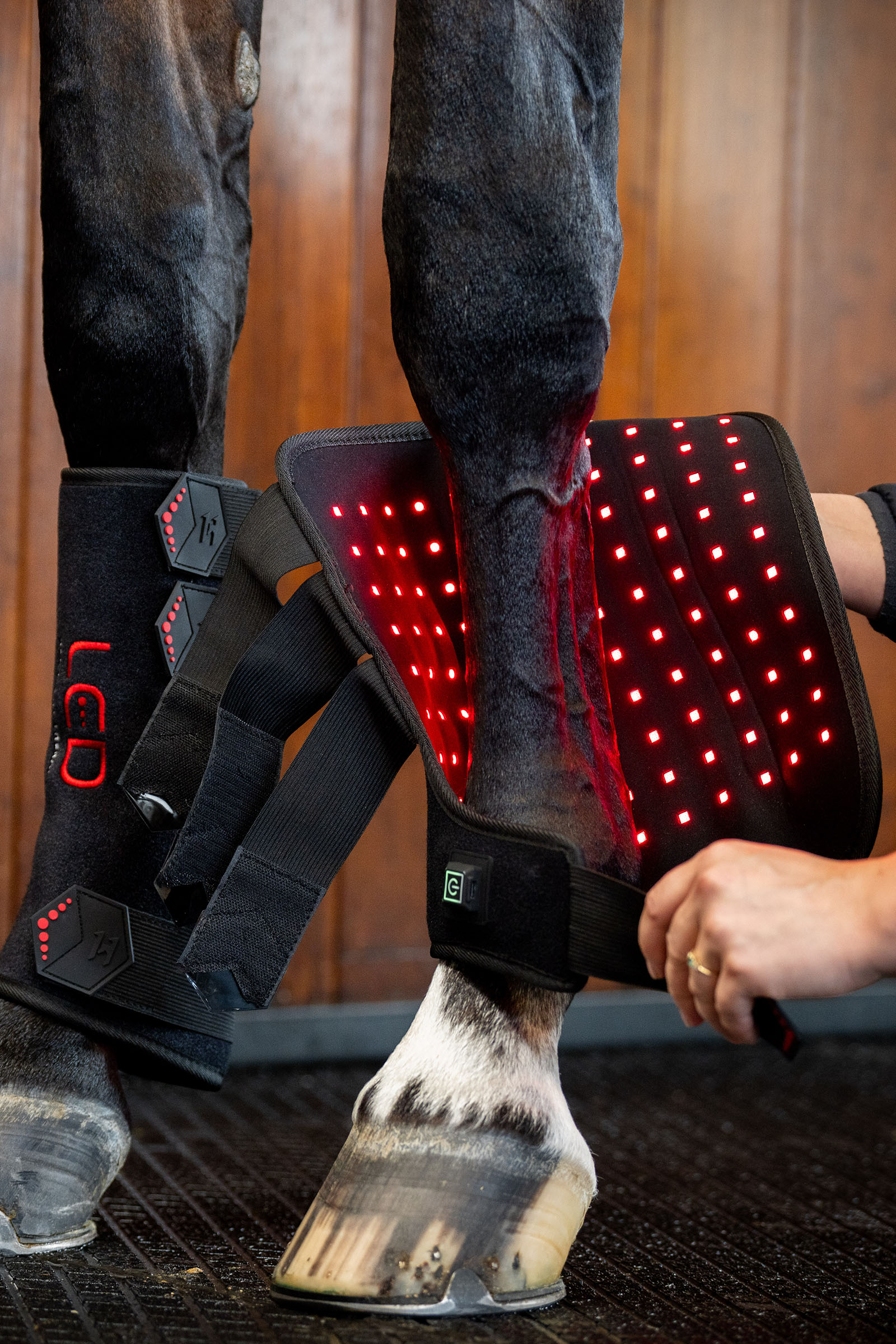 Horseware LED Red Light Therapy Leg Wrap (1 pc.)