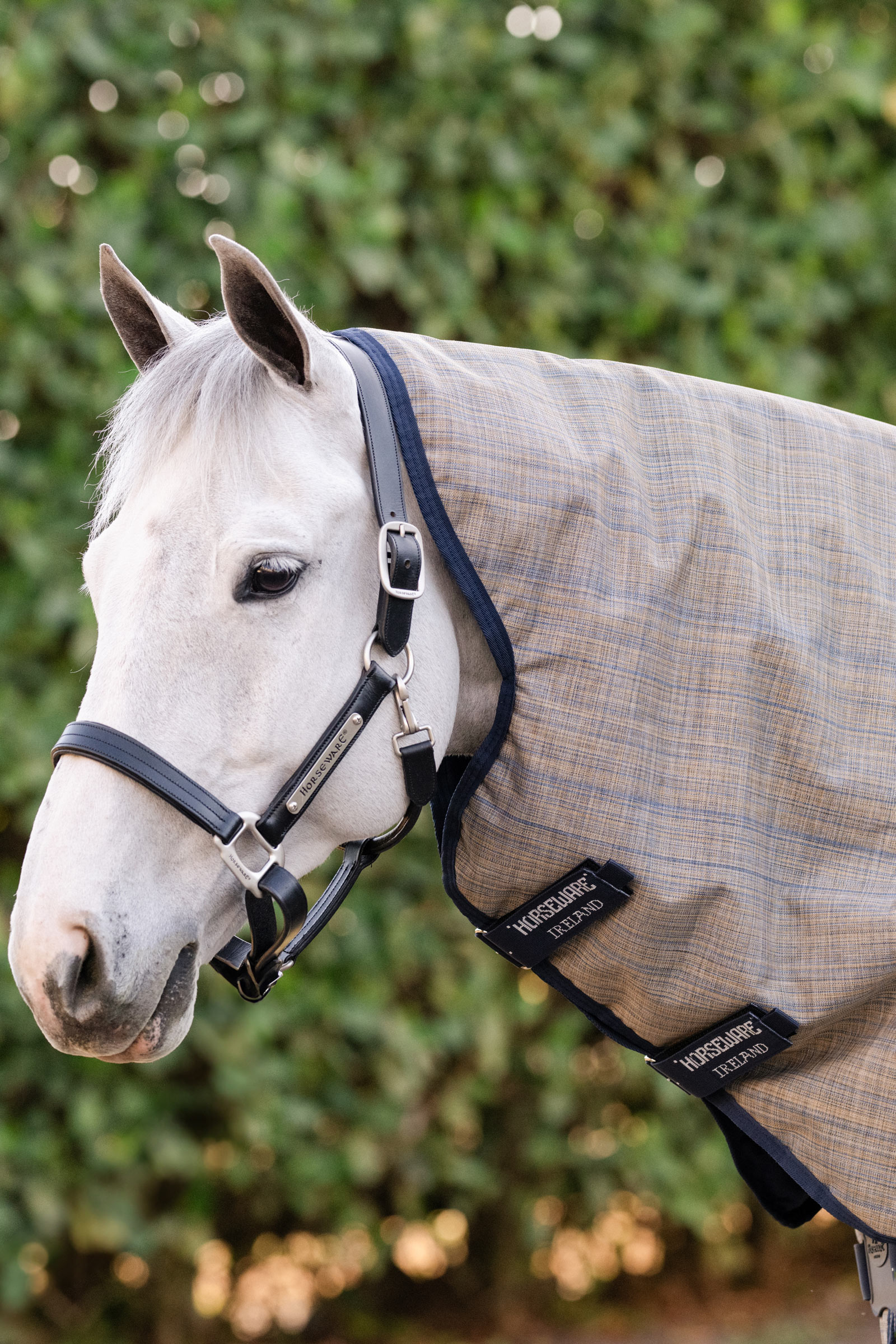 Horseware Amigo Hero 900 Revive Plus Turnout Rug With Detachable Neck, 50 g