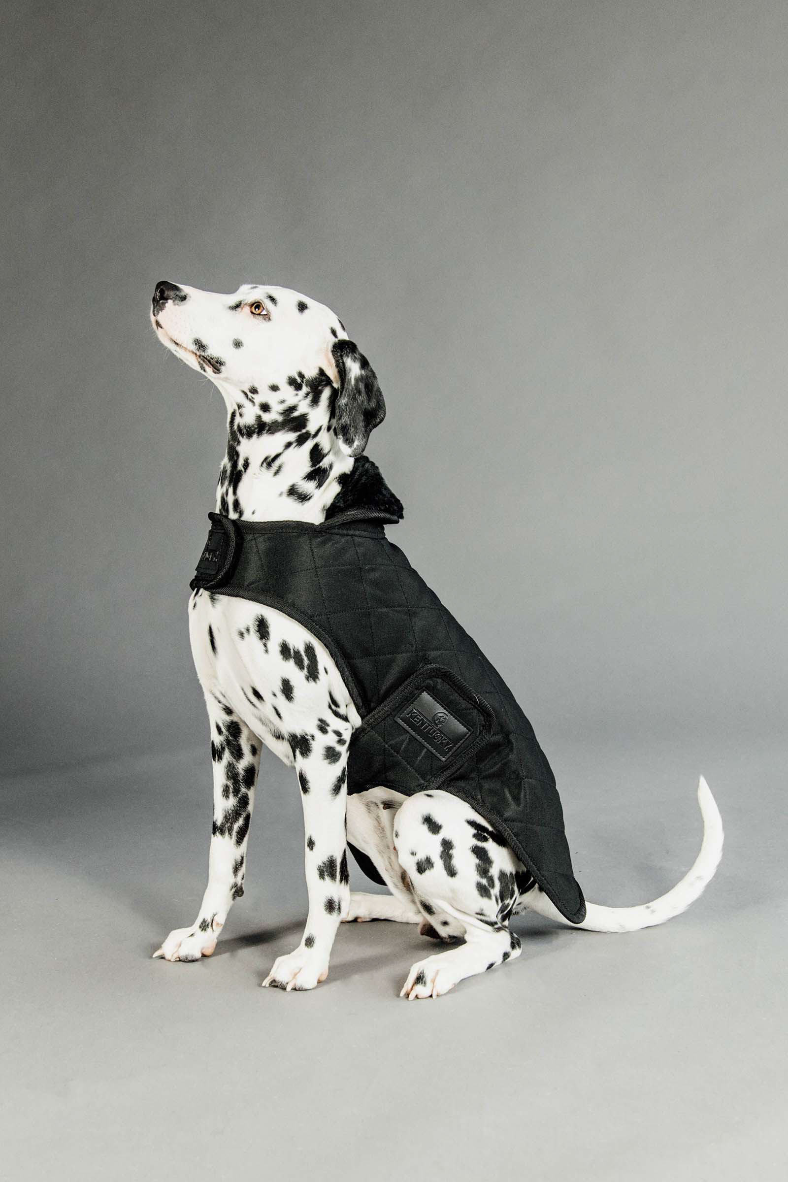 Black/Black Kentucky Dogwear Dog Coat Waterproof