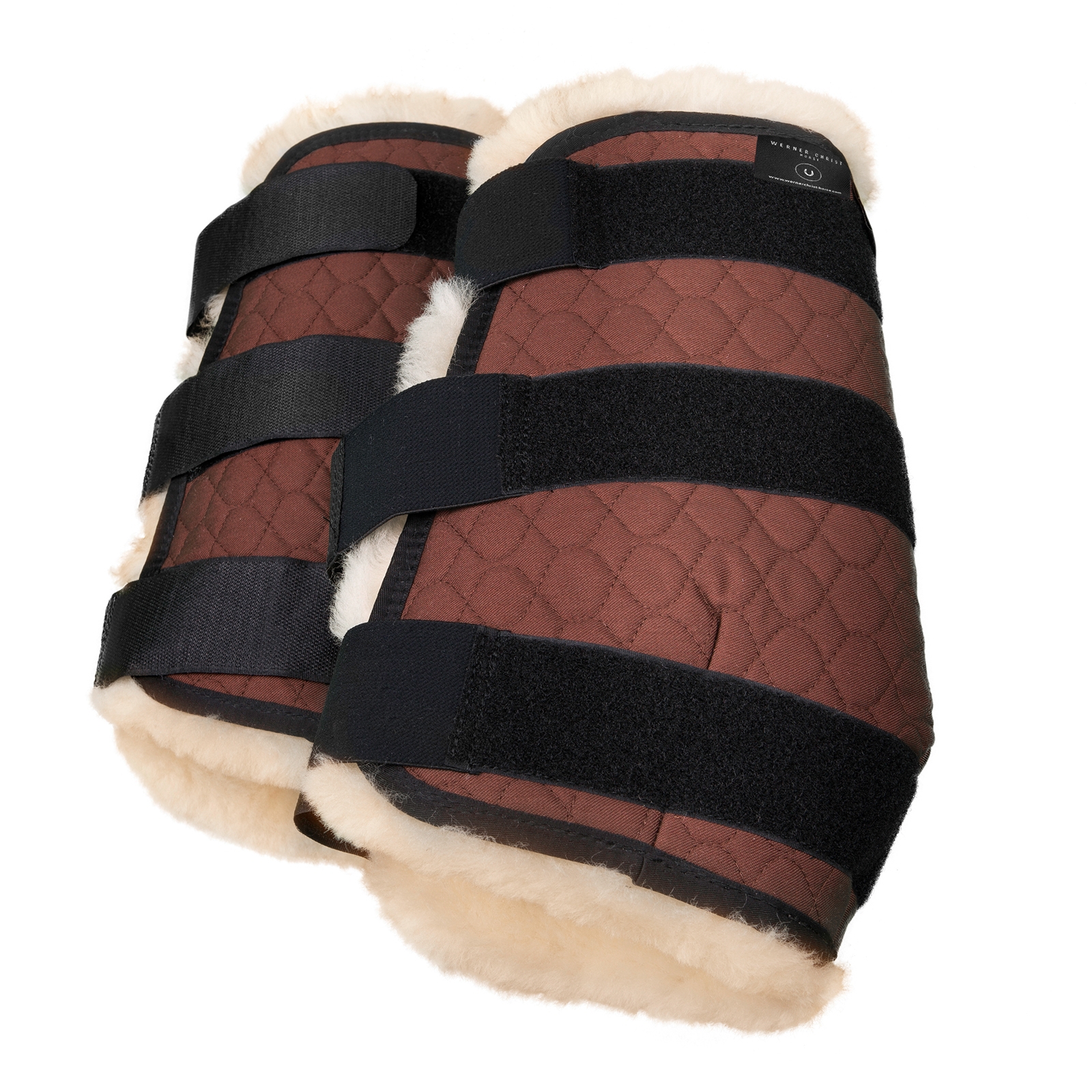 Christ Boots, forelegs