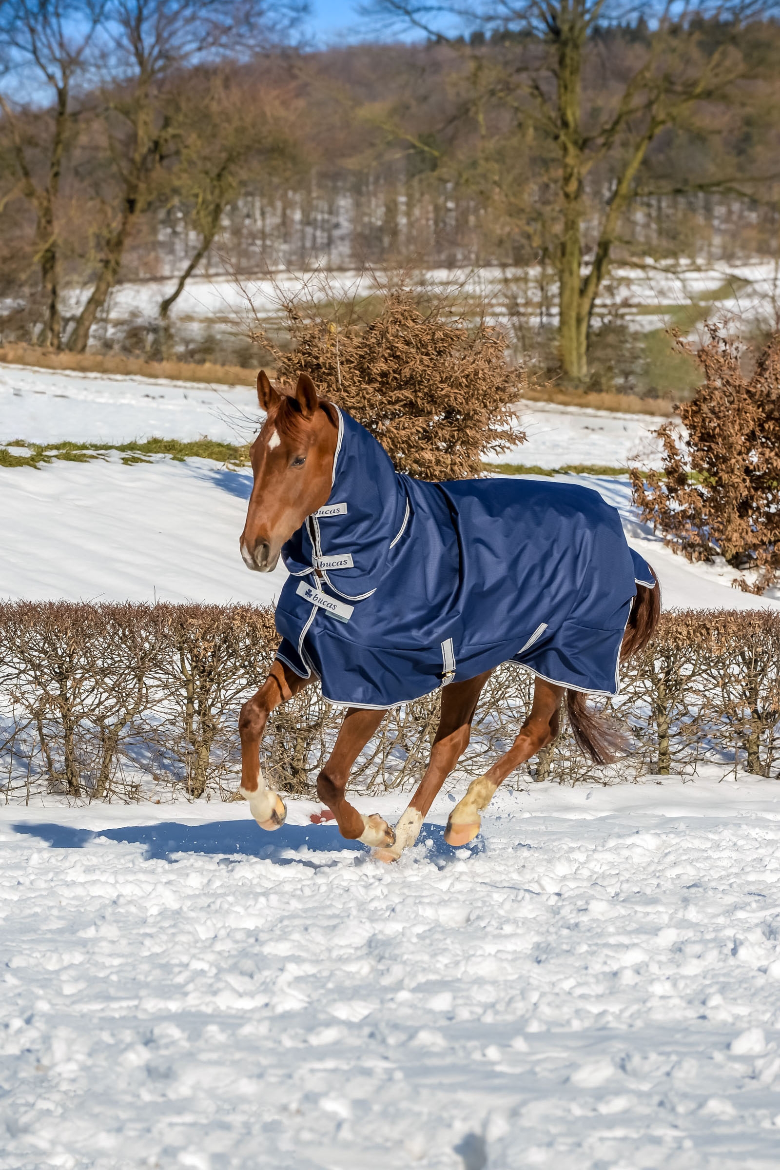 Bucas Freedom Pony Turnout Rug with fixed Full Neck (150g / 150g)