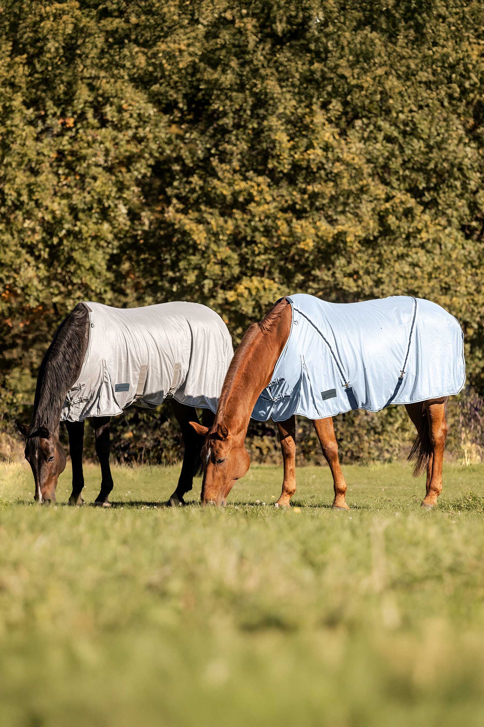 Waldhausen Protect Fly Rug